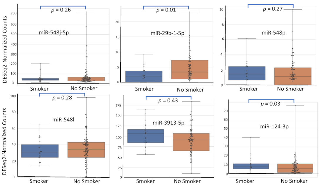 Diagnostics 12 00175 g005