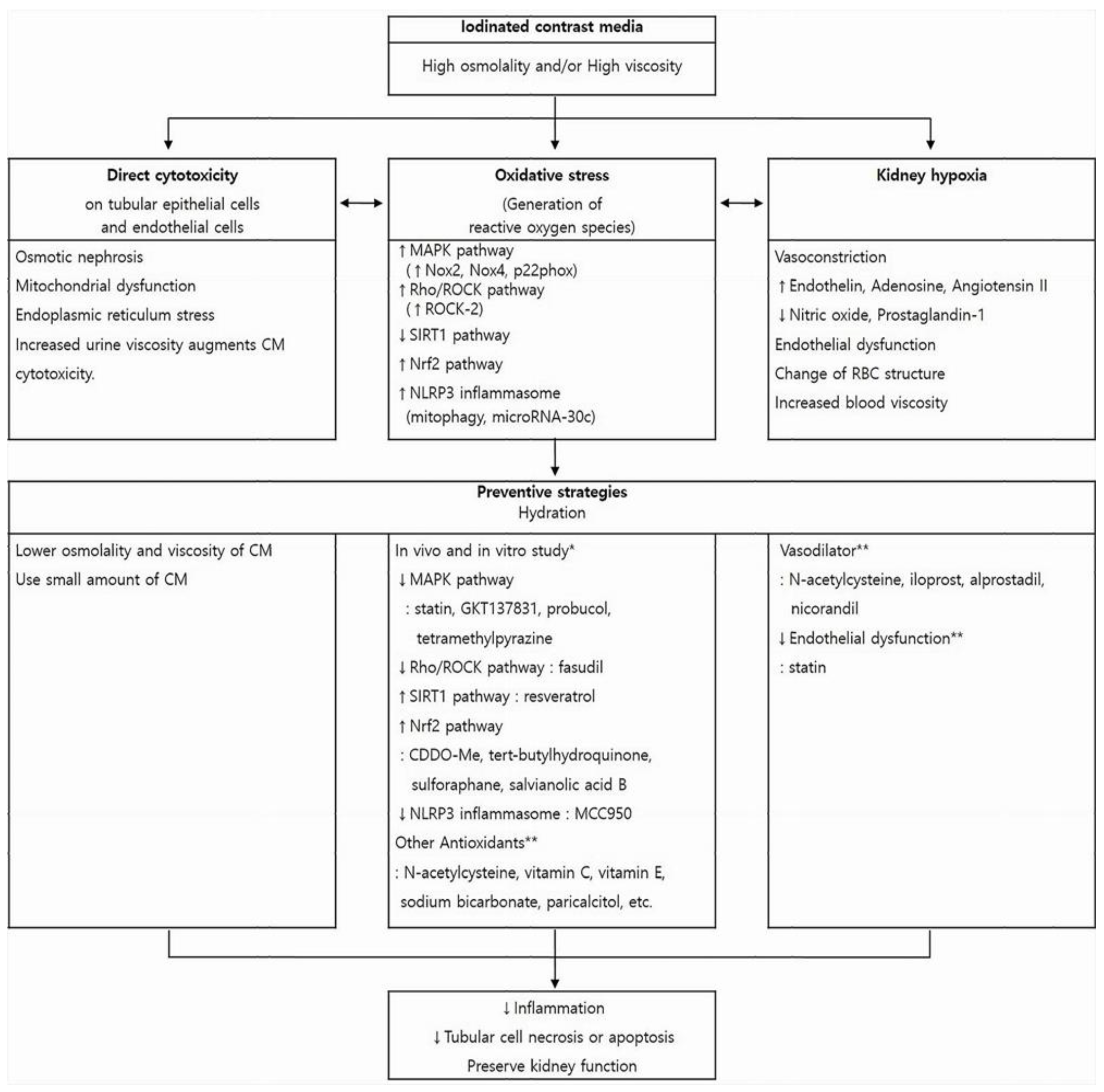 Diagnostics 12 00180 g001 Diagnostics 12 00180 g001