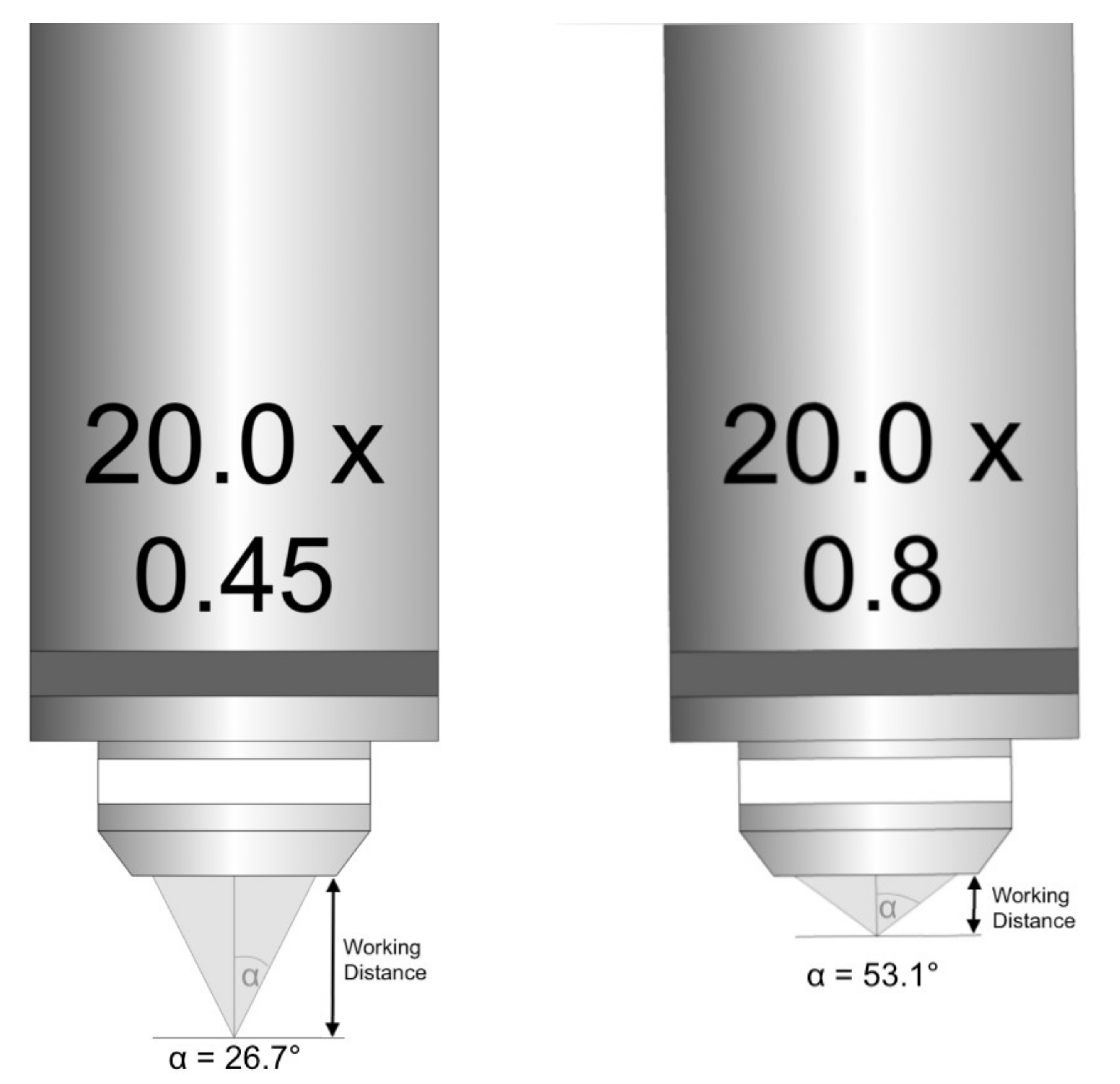 Diagnostics 12 00192 g001