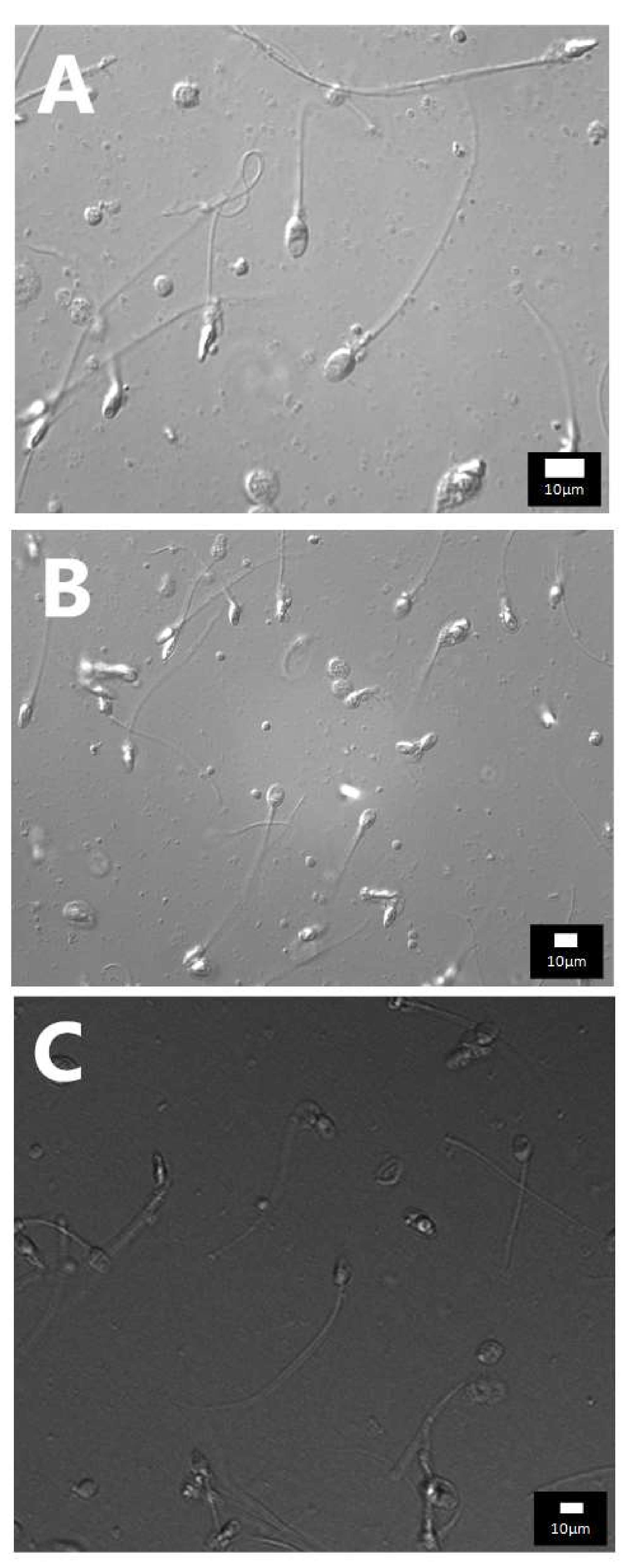 Diagnostics 12 00192 g0a1