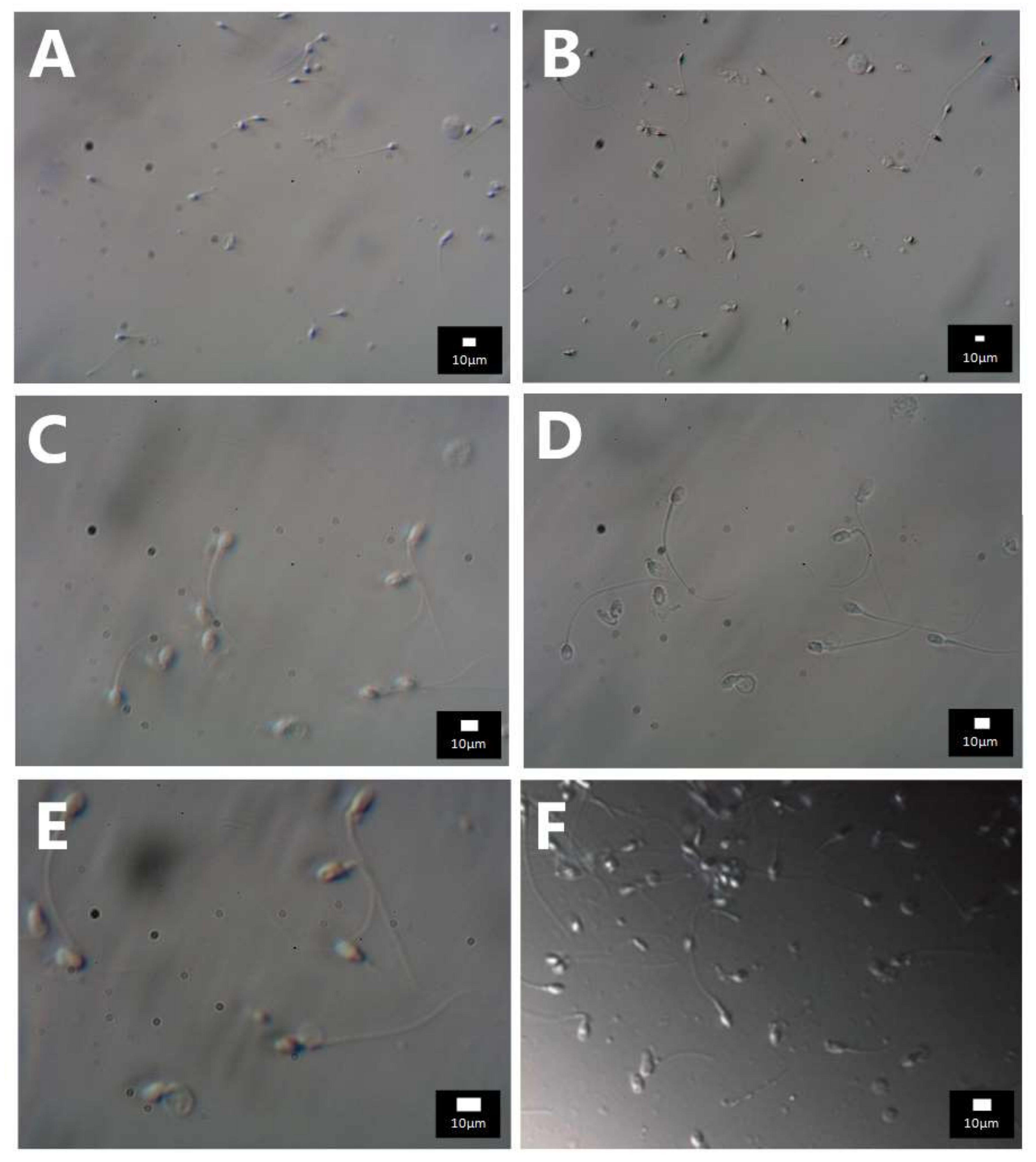 Diagnostics 12 00192 g0a3