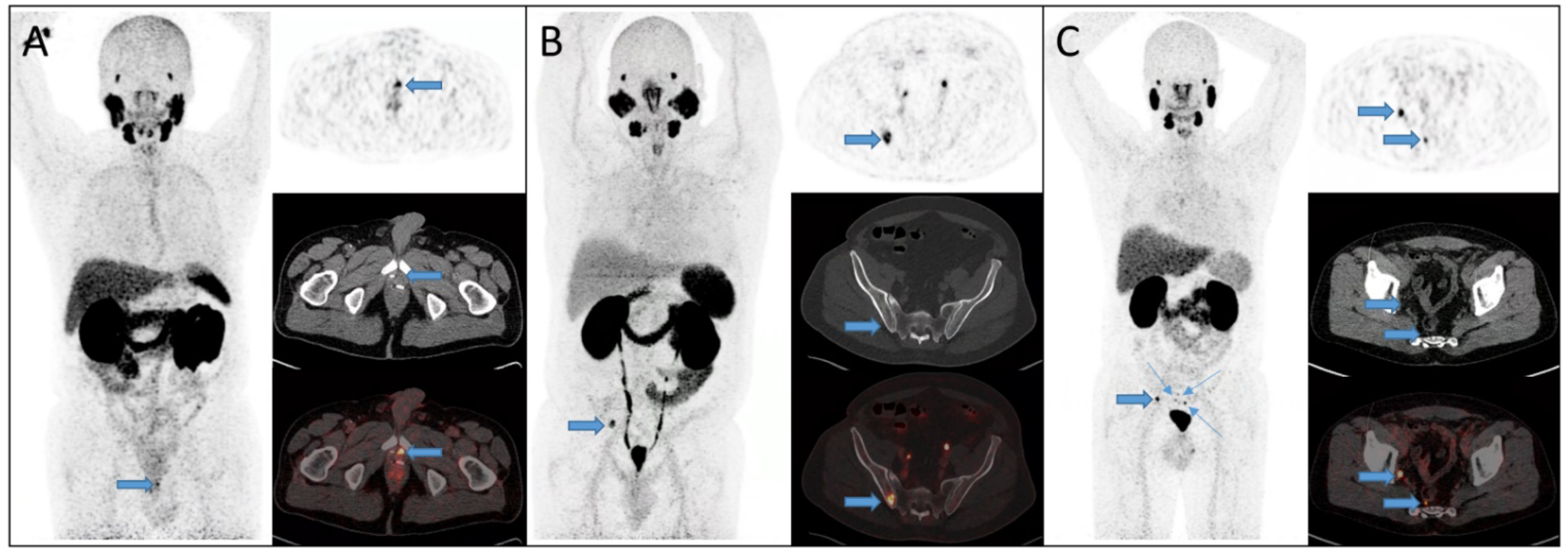 Diagnostics 12 00195 g003 550