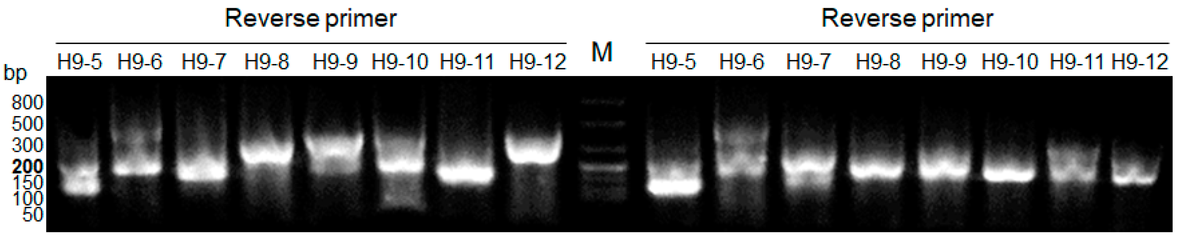 Diagnostics 12 00196 g003