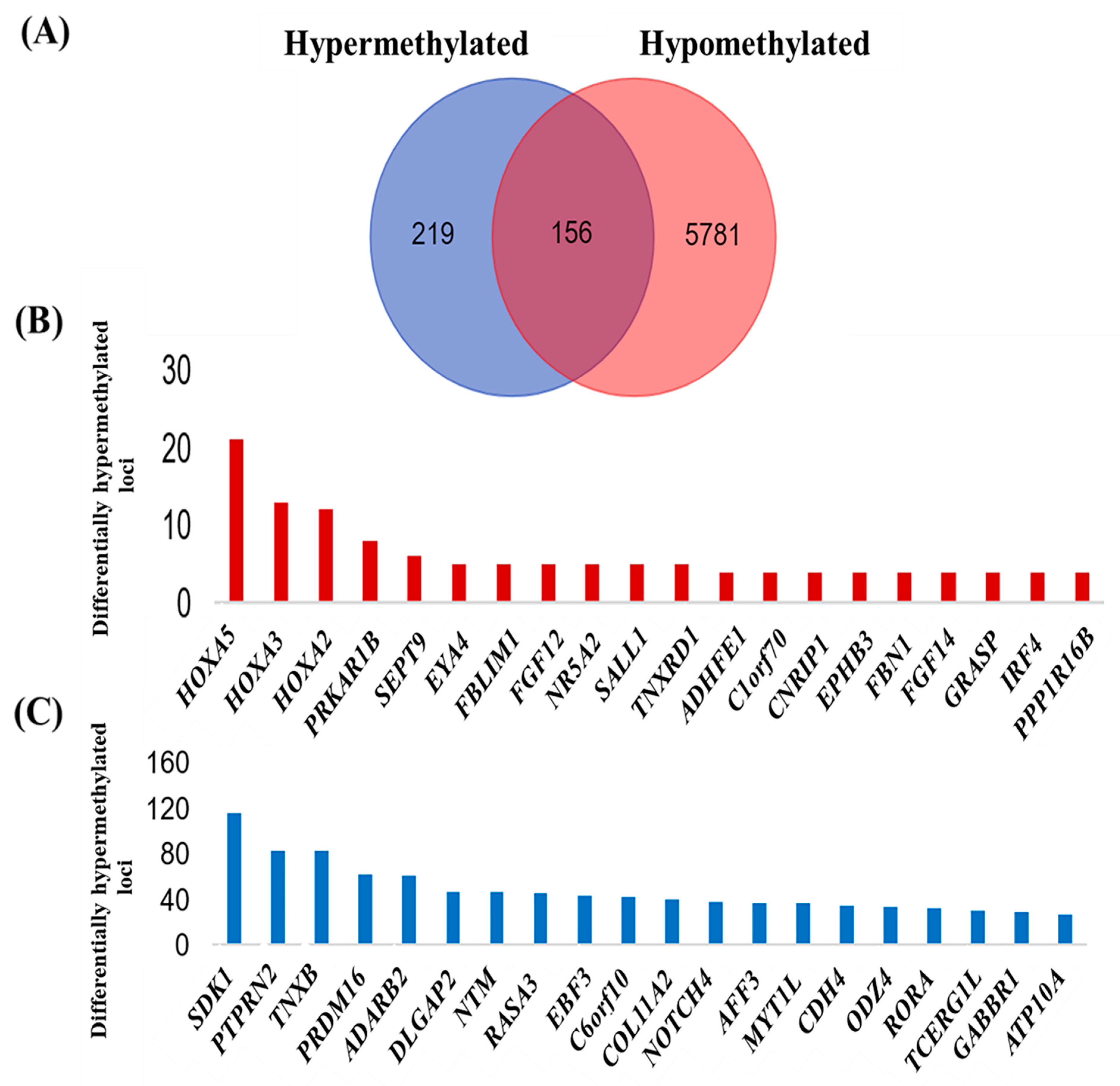 Diagnostics 12 00198 g003 Diagnostics 12 00198 g003