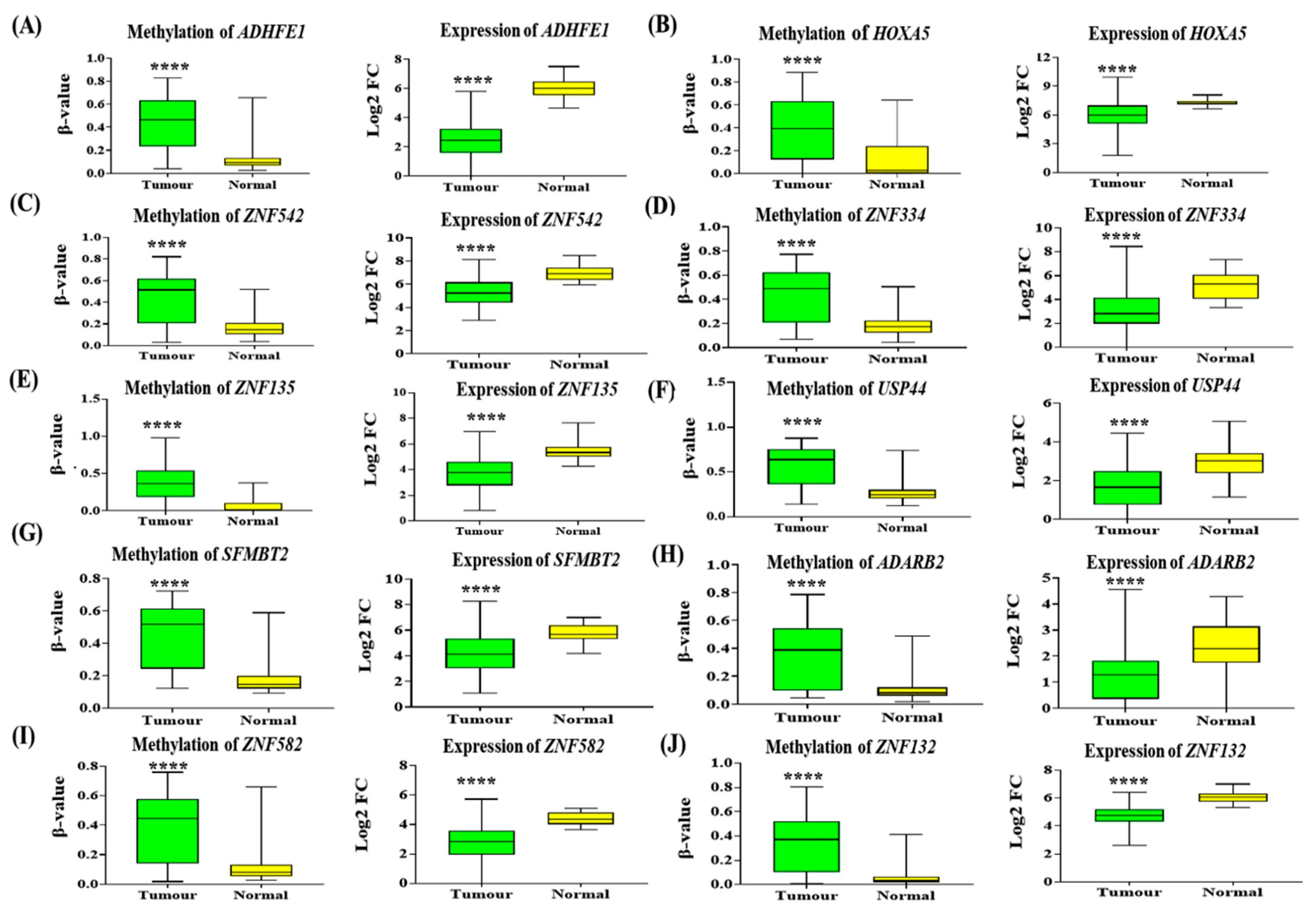 Diagnostics 12 00198 g004 Diagnostics 12 00198 g004