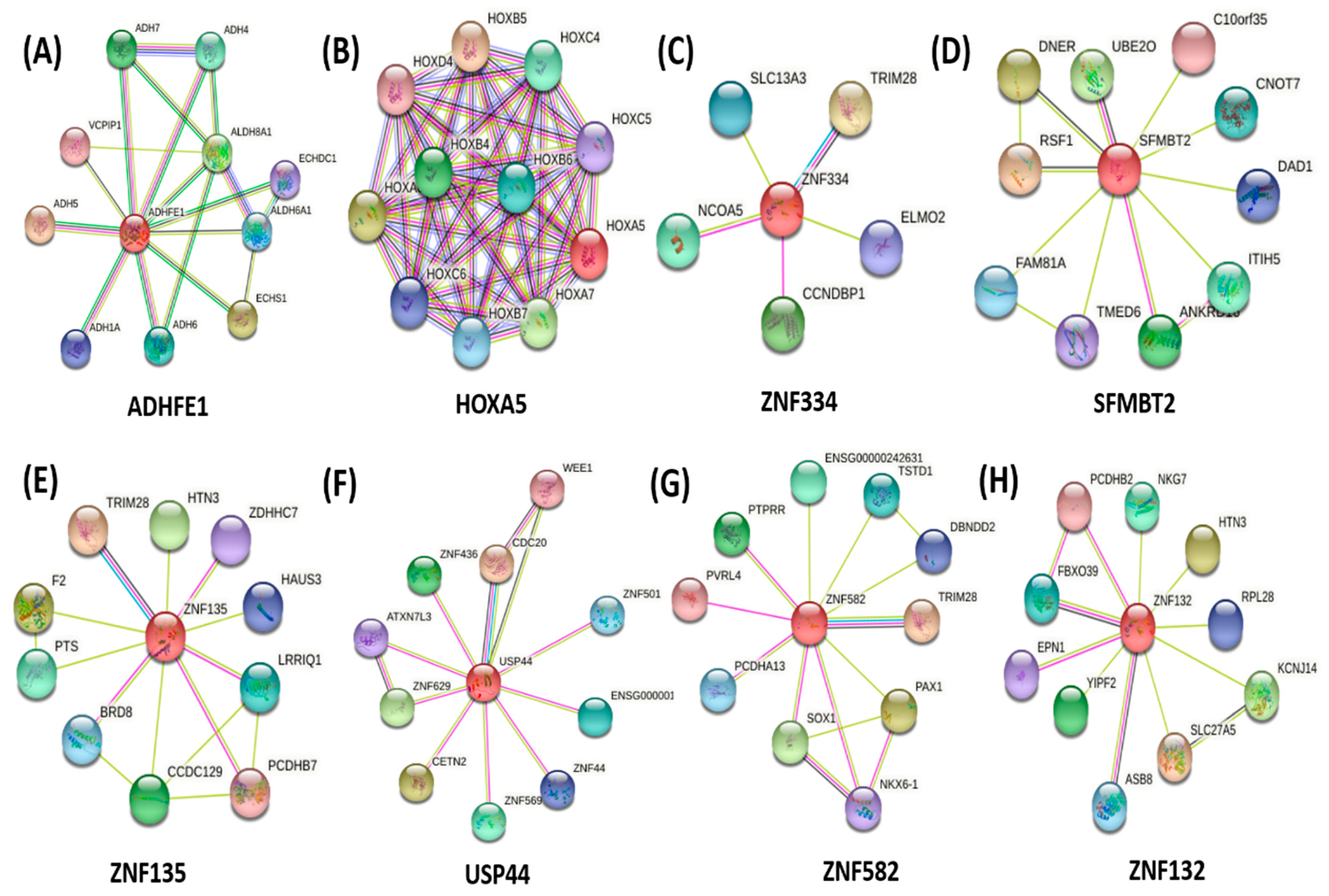 Diagnostics 12 00198 g005 Diagnostics 12 00198 g005