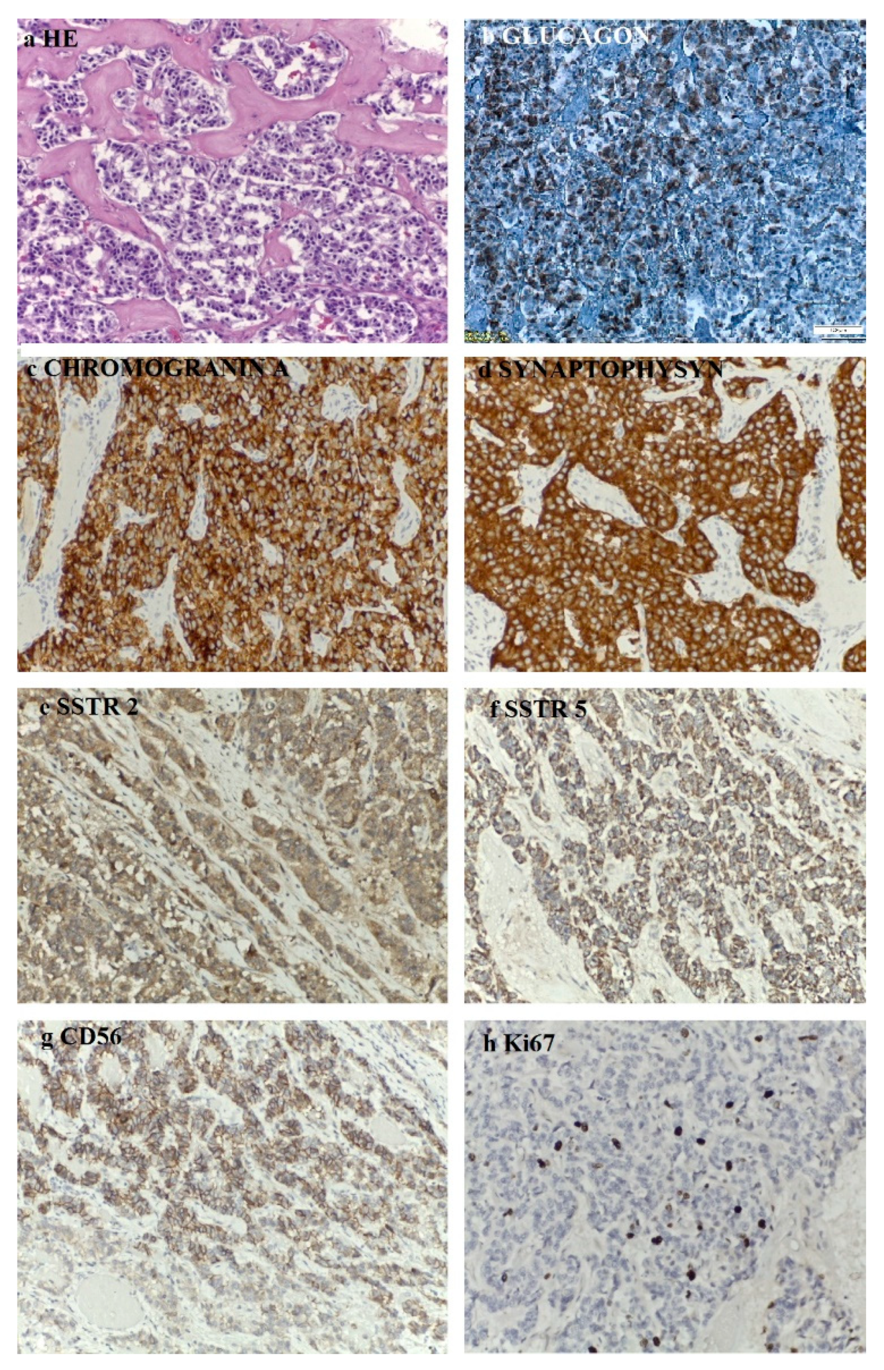 Diagnostics 12 00216 g008