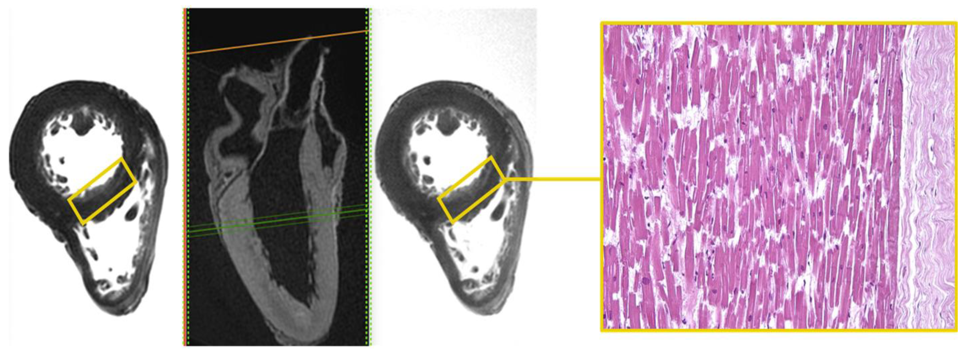 Diagnostics 12 00218 g001 550