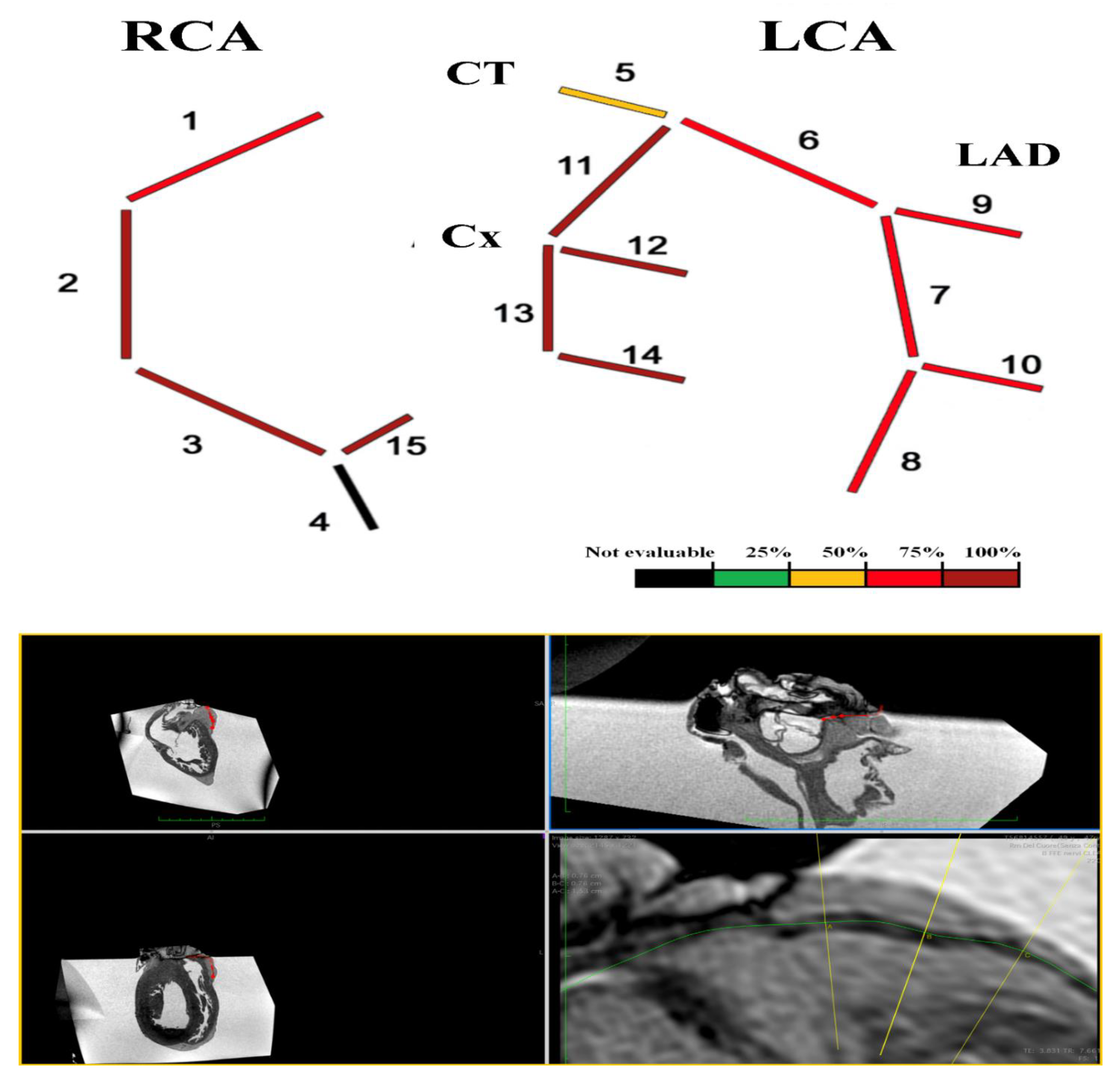 Diagnostics 12 00218 g003 550