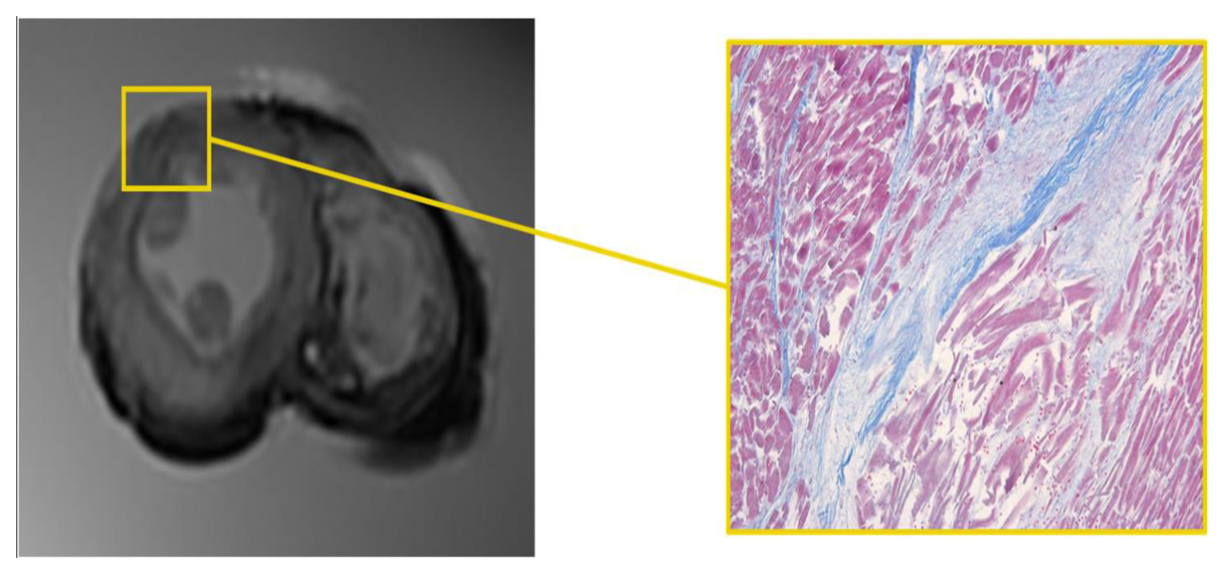 Diagnostics 12 00218 g005 550