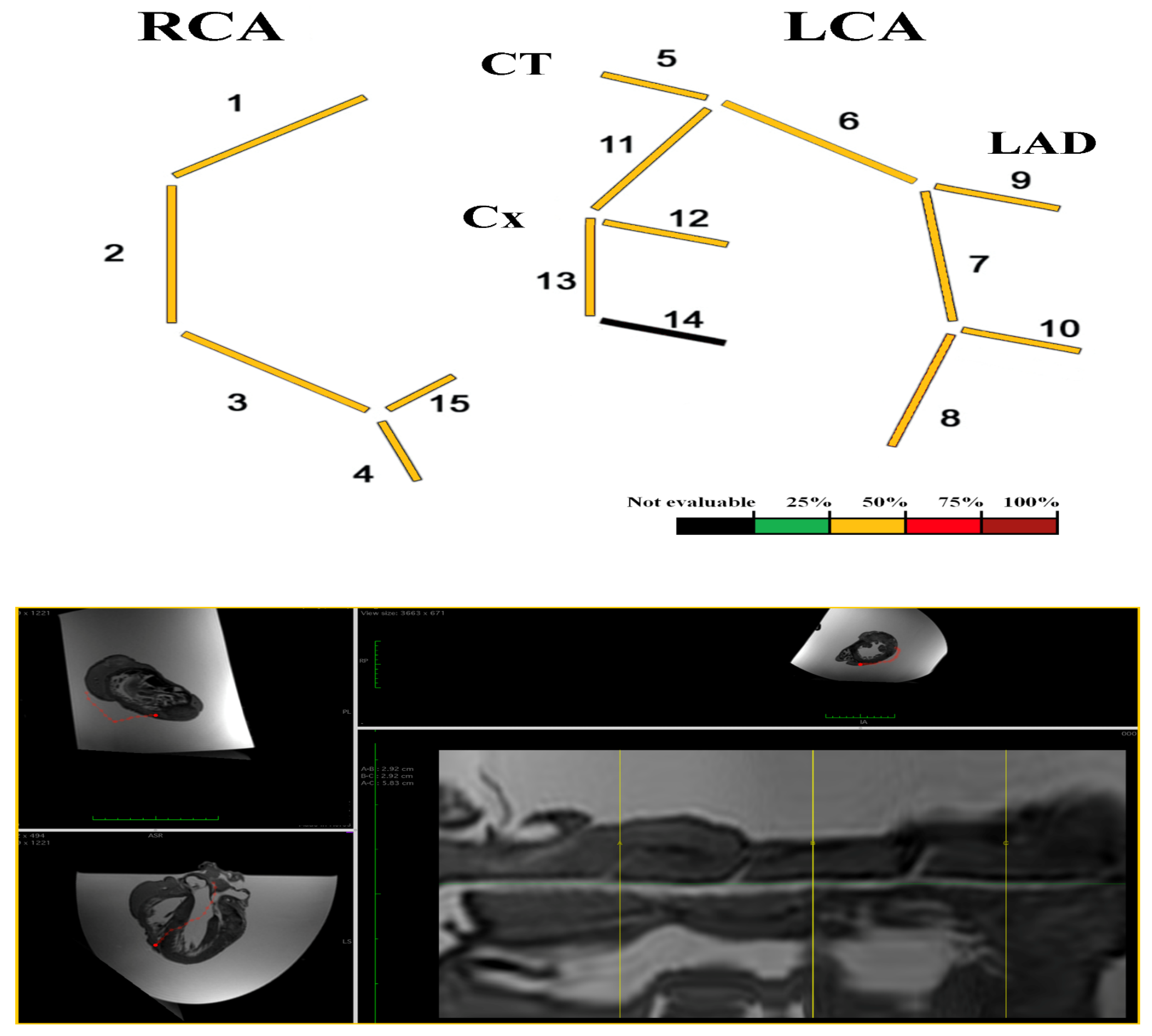 Diagnostics 12 00218 g006 550