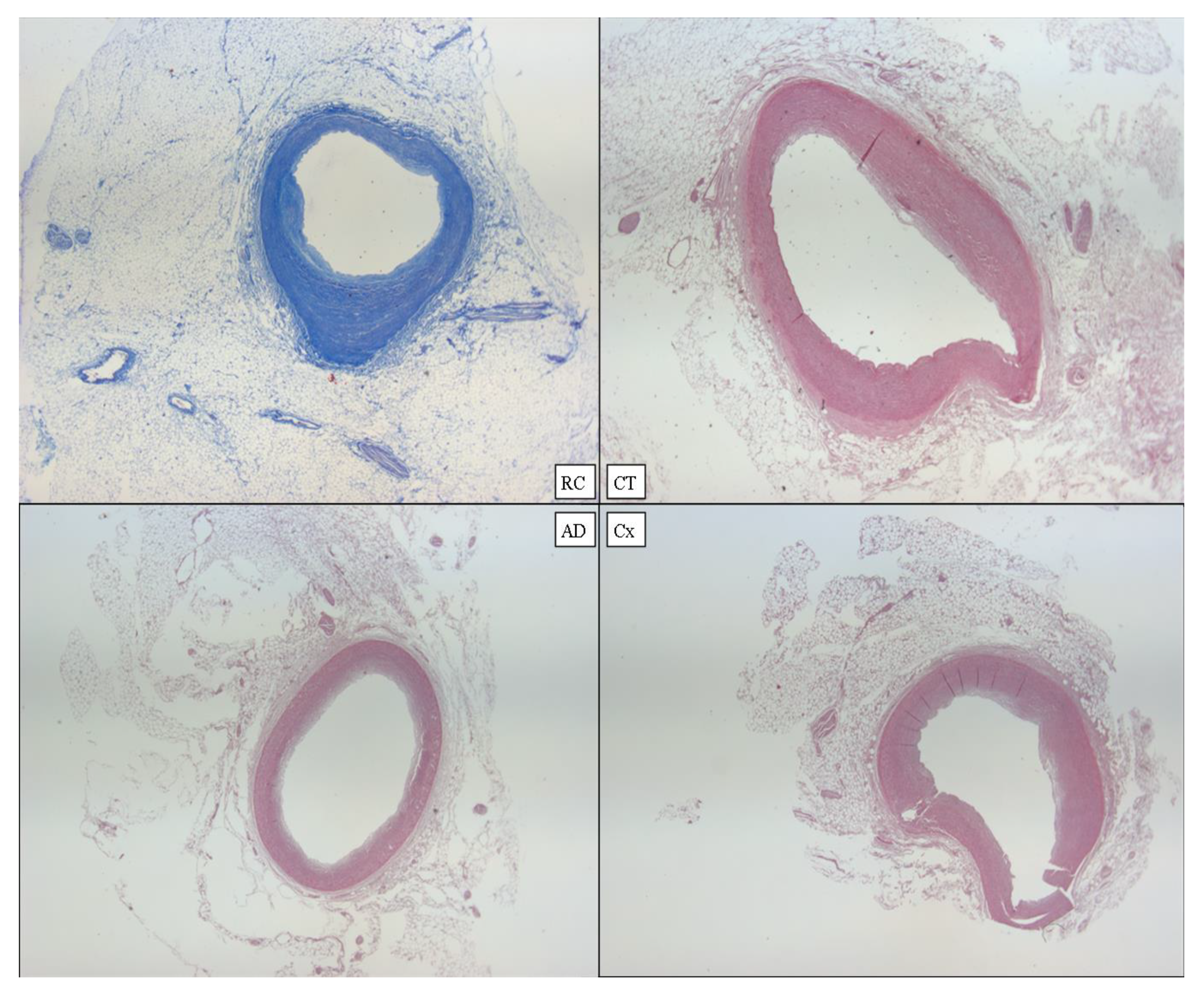 Diagnostics 12 00218 g011 550