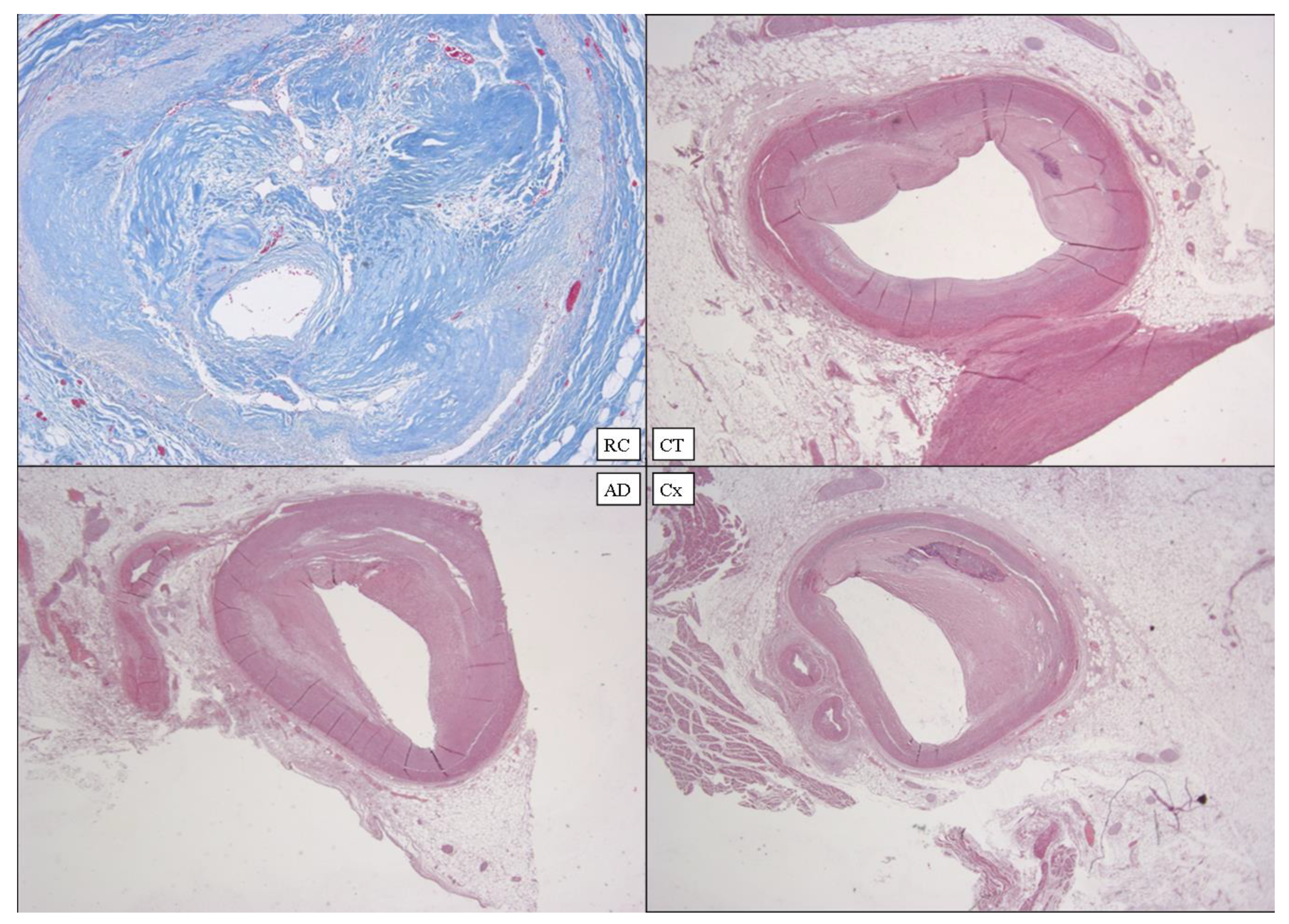 Diagnostics 12 00218 g012 550