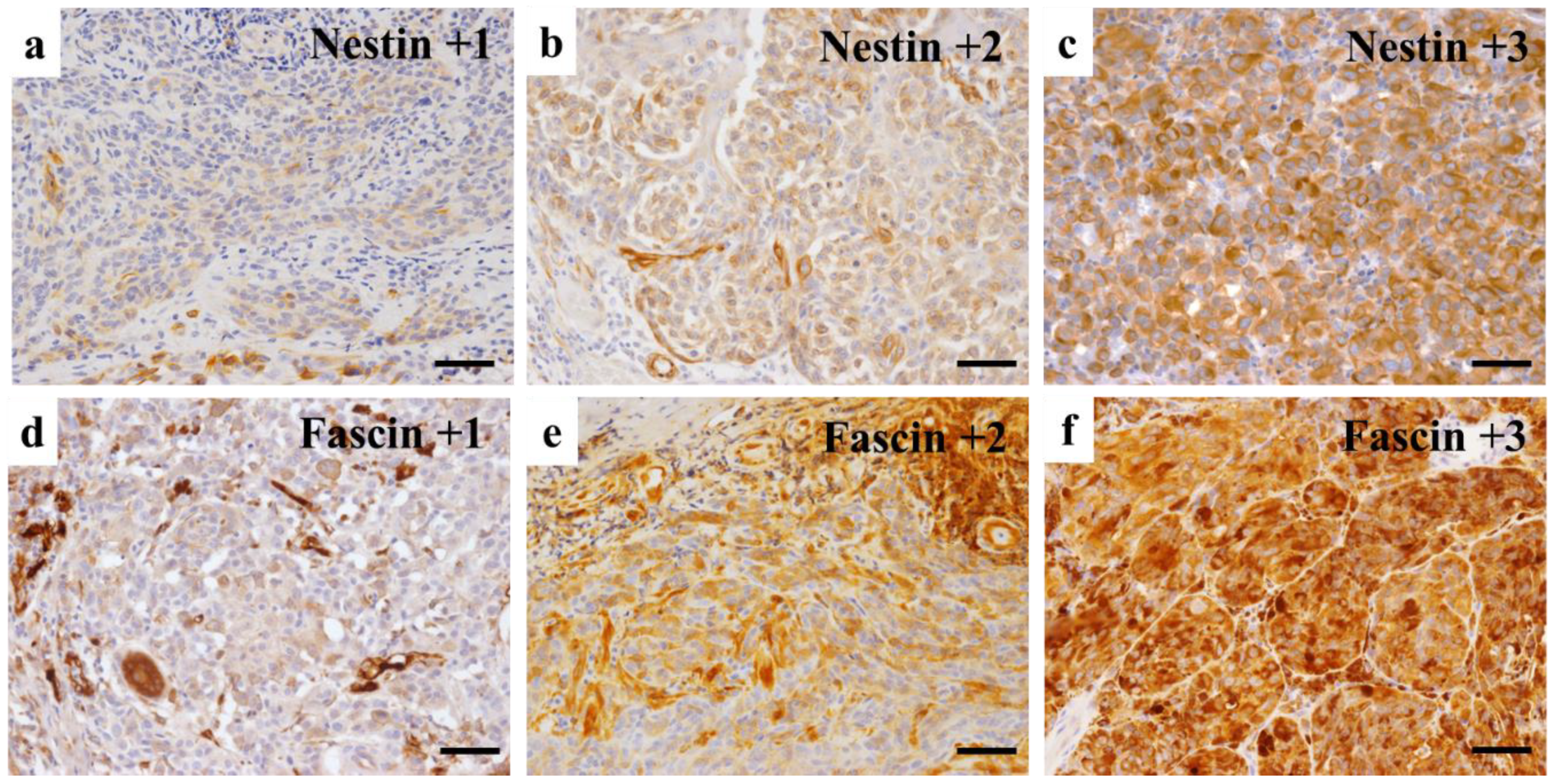 Diagnostics 12 00219 g001