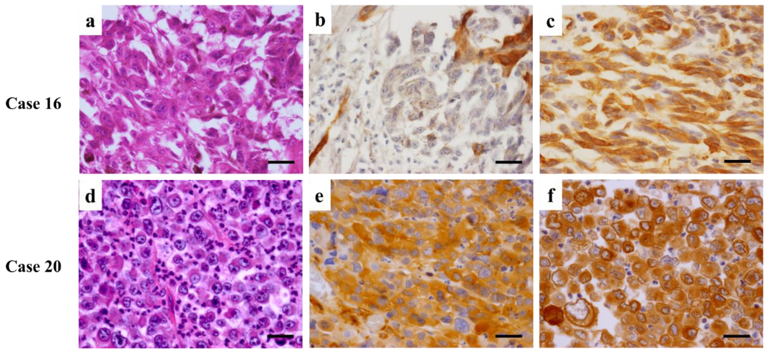 Diagnostics 12 00219 g005