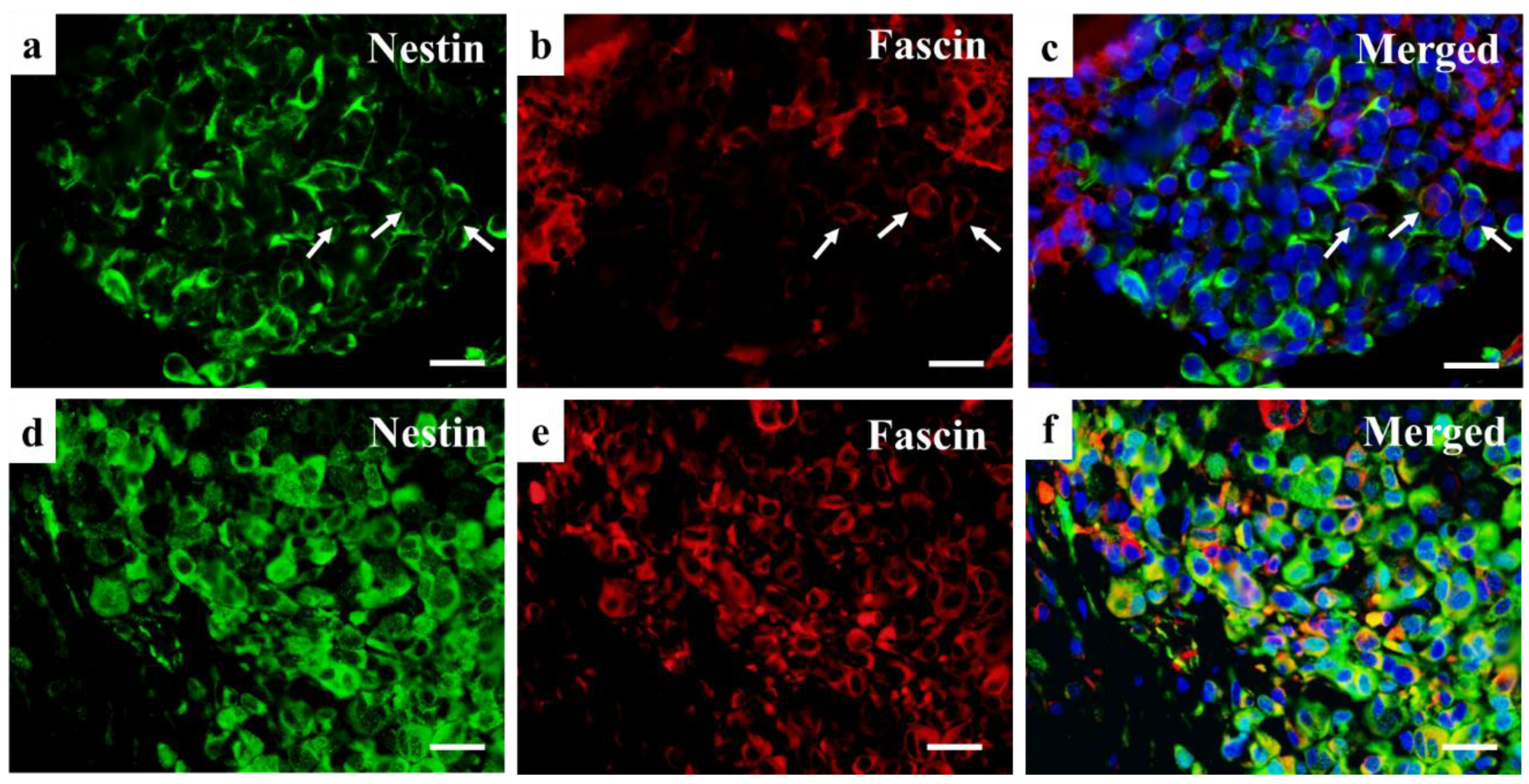 Diagnostics 12 00219 g007