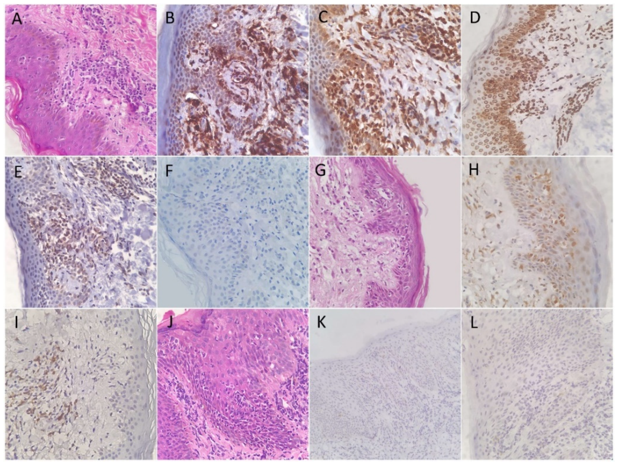 Diagnostics 12 00220 g001