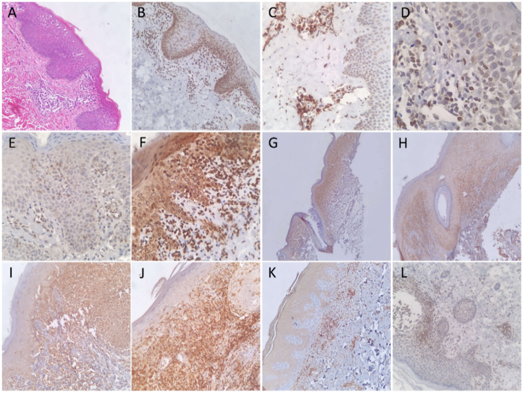 Diagnostics 12 00220 g002
