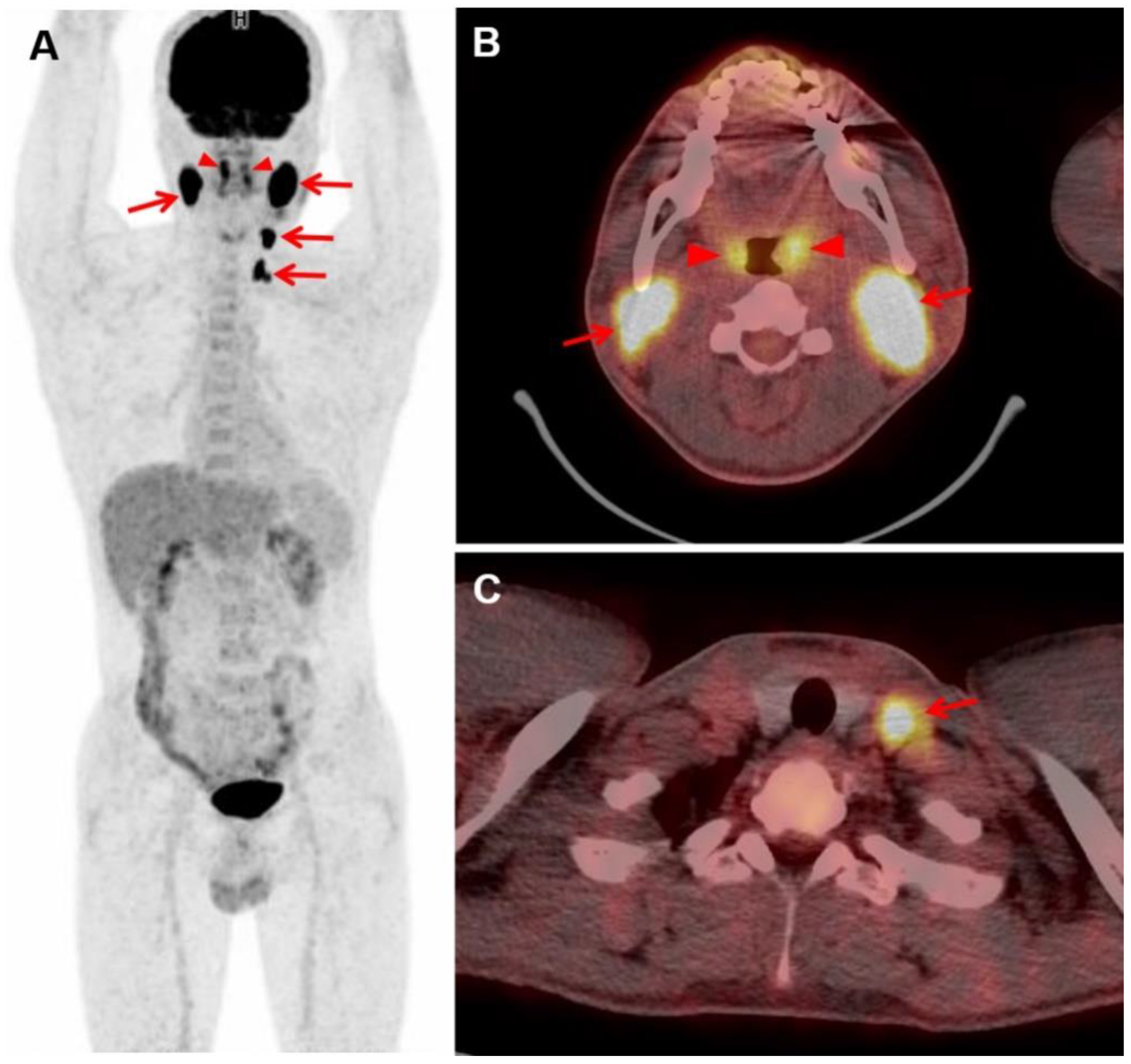 Diagnostics 12 00222 g003 550
