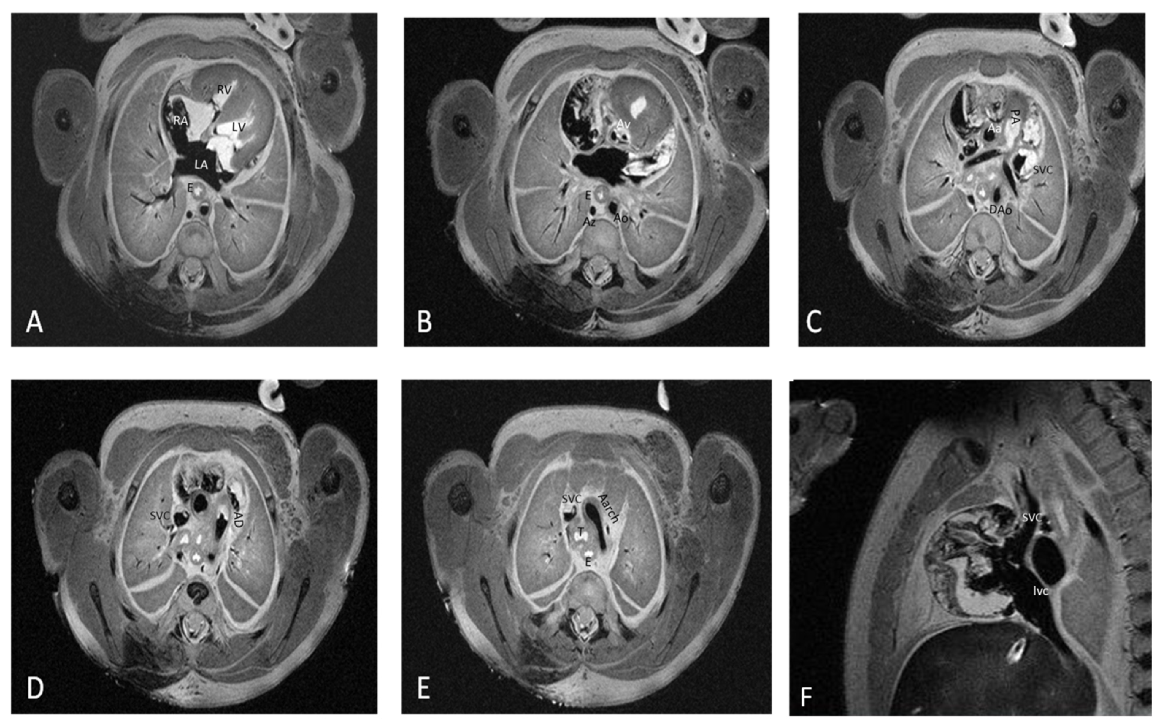 Diagnostics 12 00223 g001
