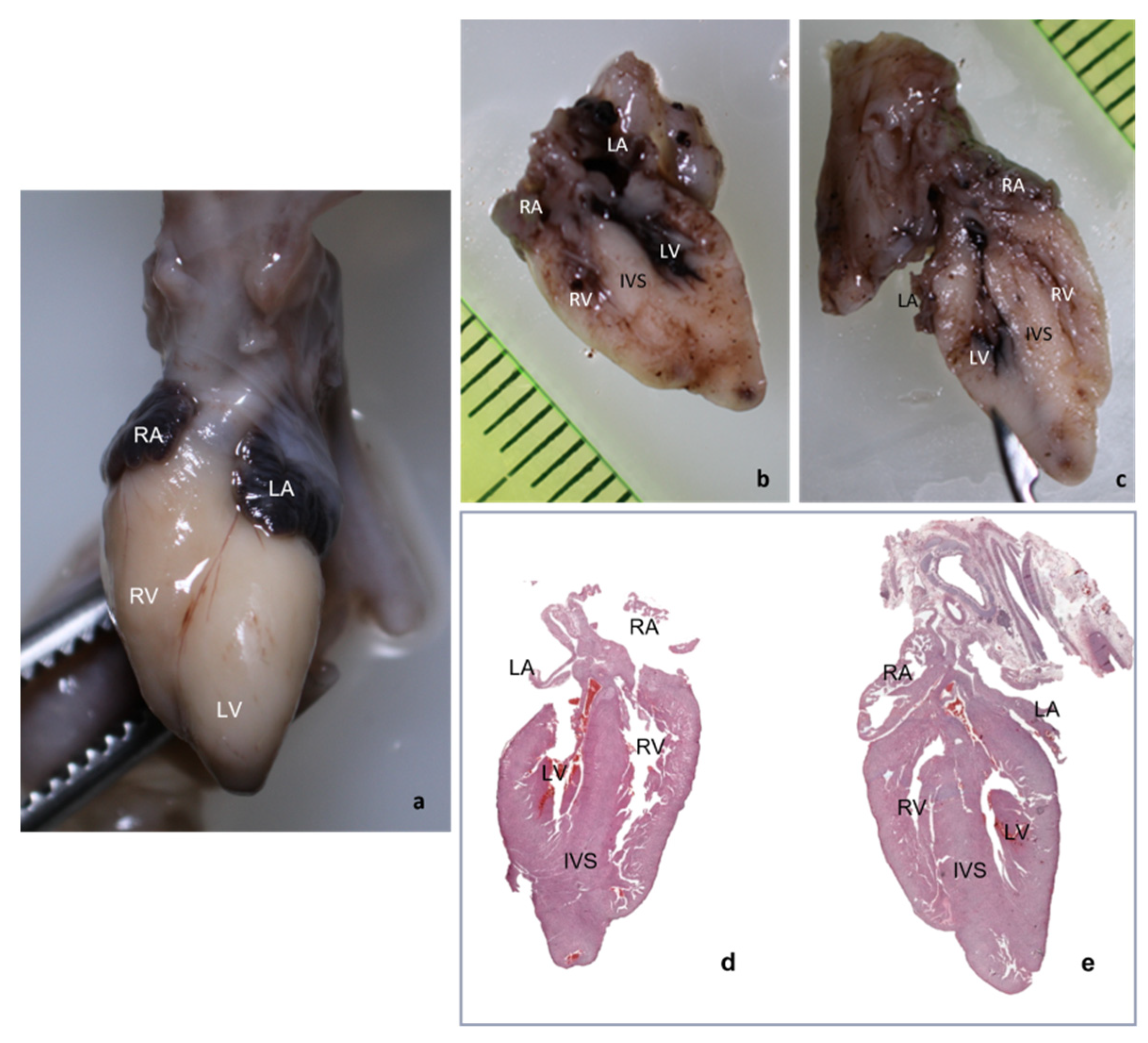 Diagnostics 12 00223 g003