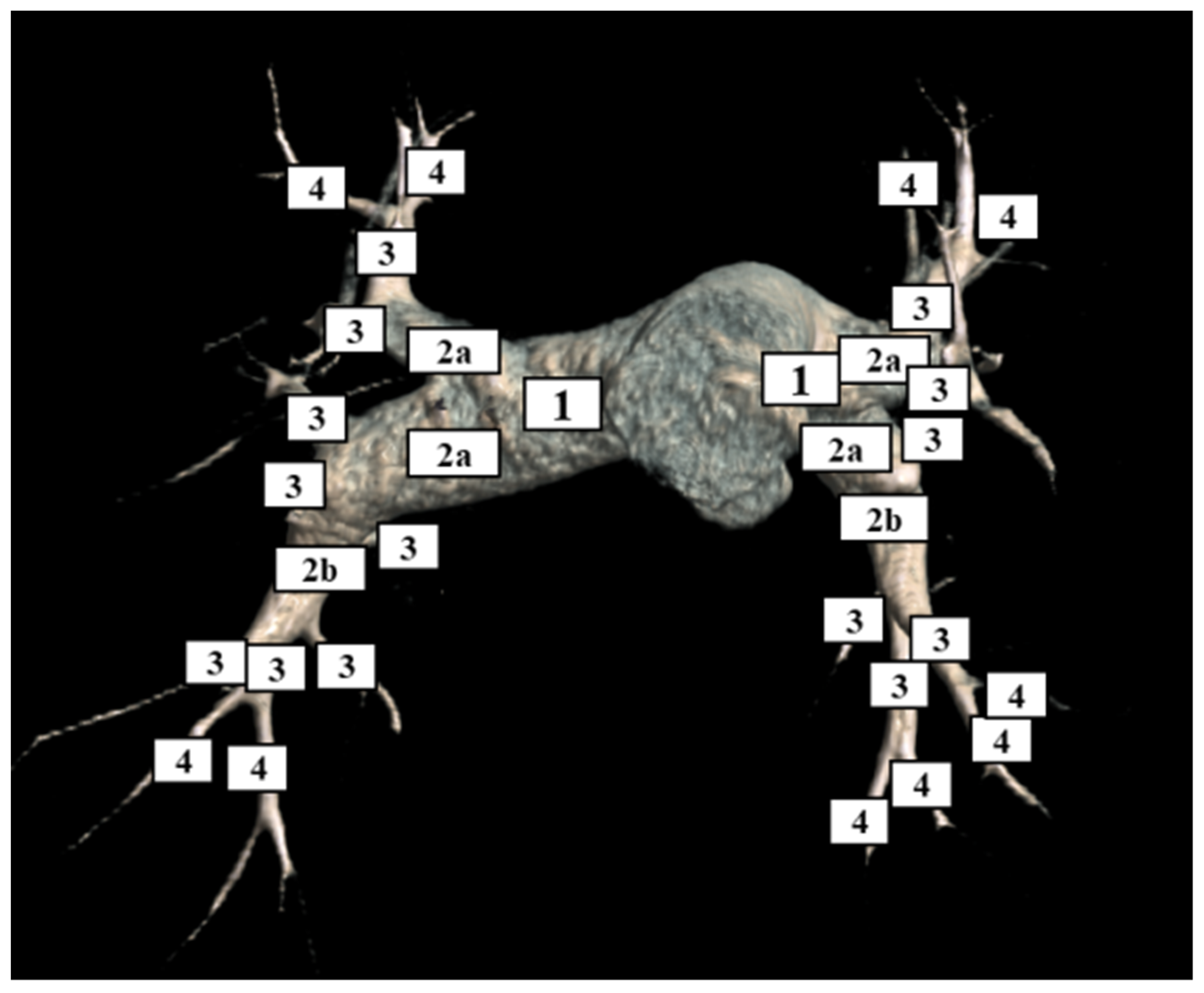 Diagnostics 12 00228 g001