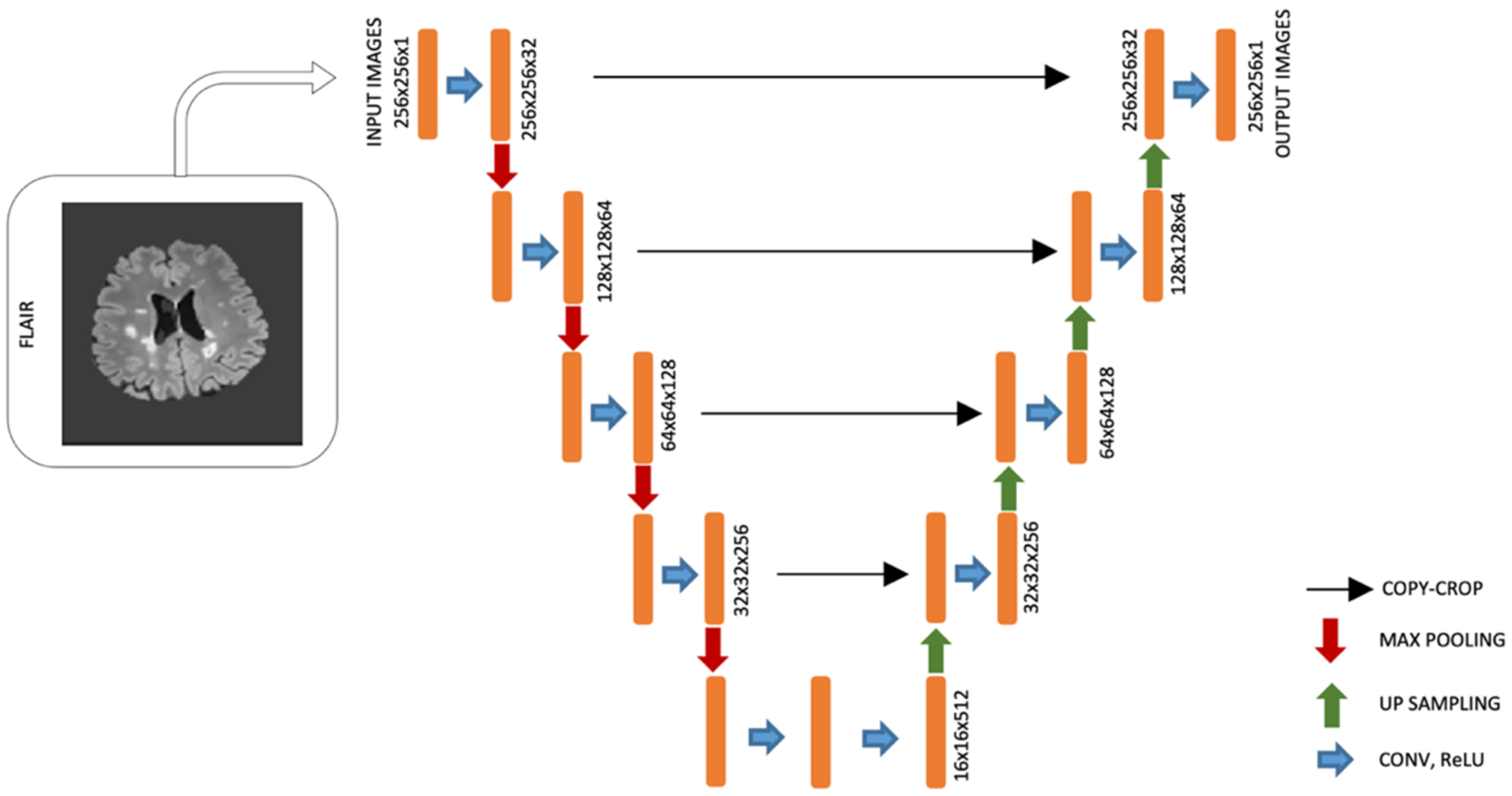 Diagnostics 12 00230 g002 550