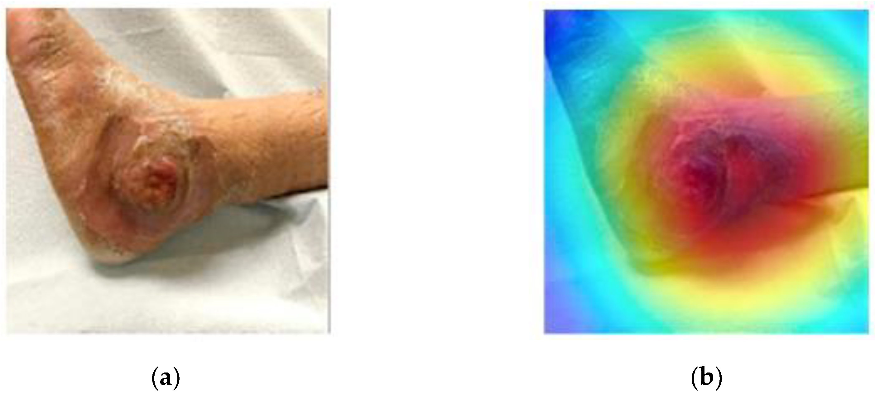 Diagnostics 12 00237 g004 550