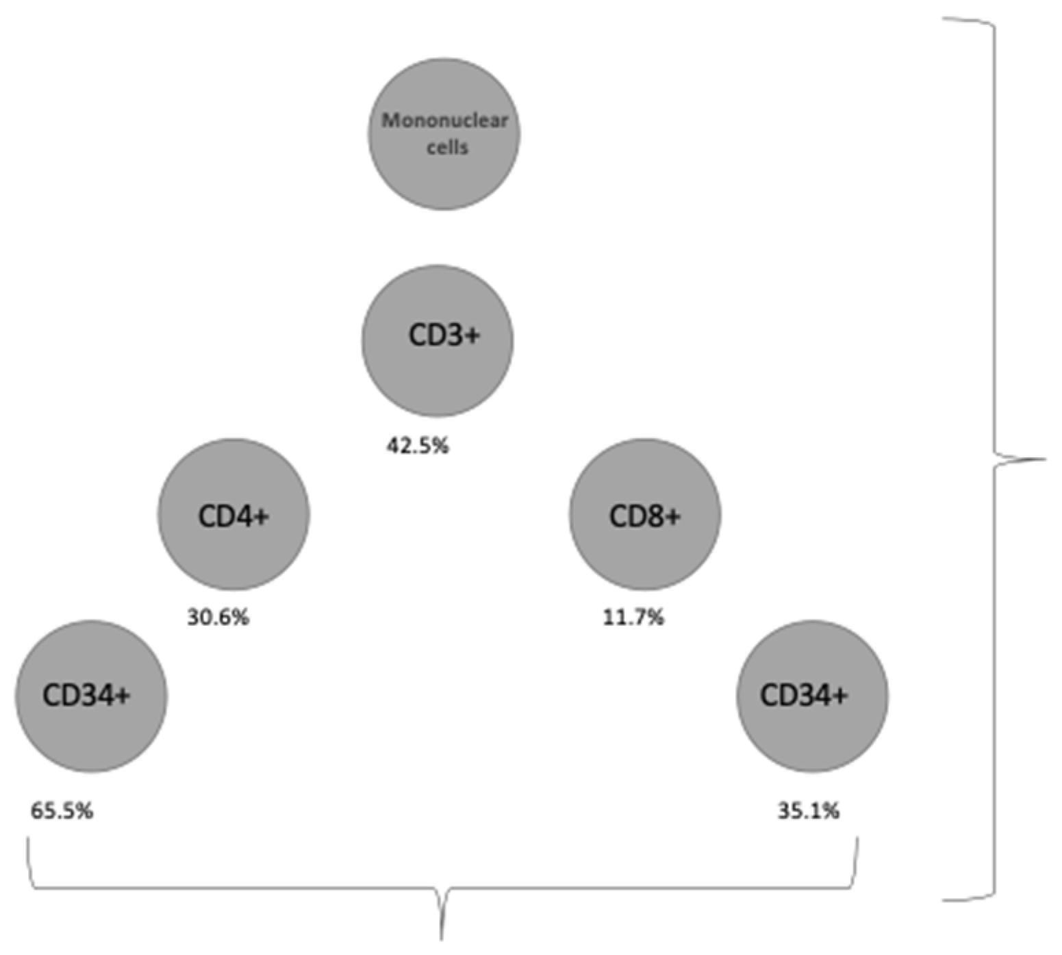 Diagnostics 12 00245 g003