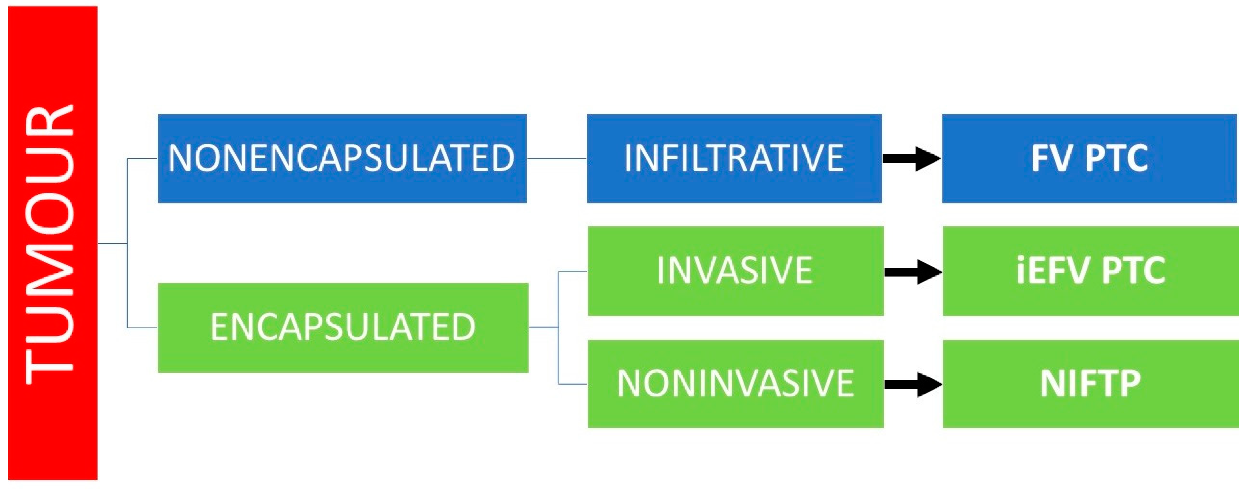 Diagnostics 12 00250 g001