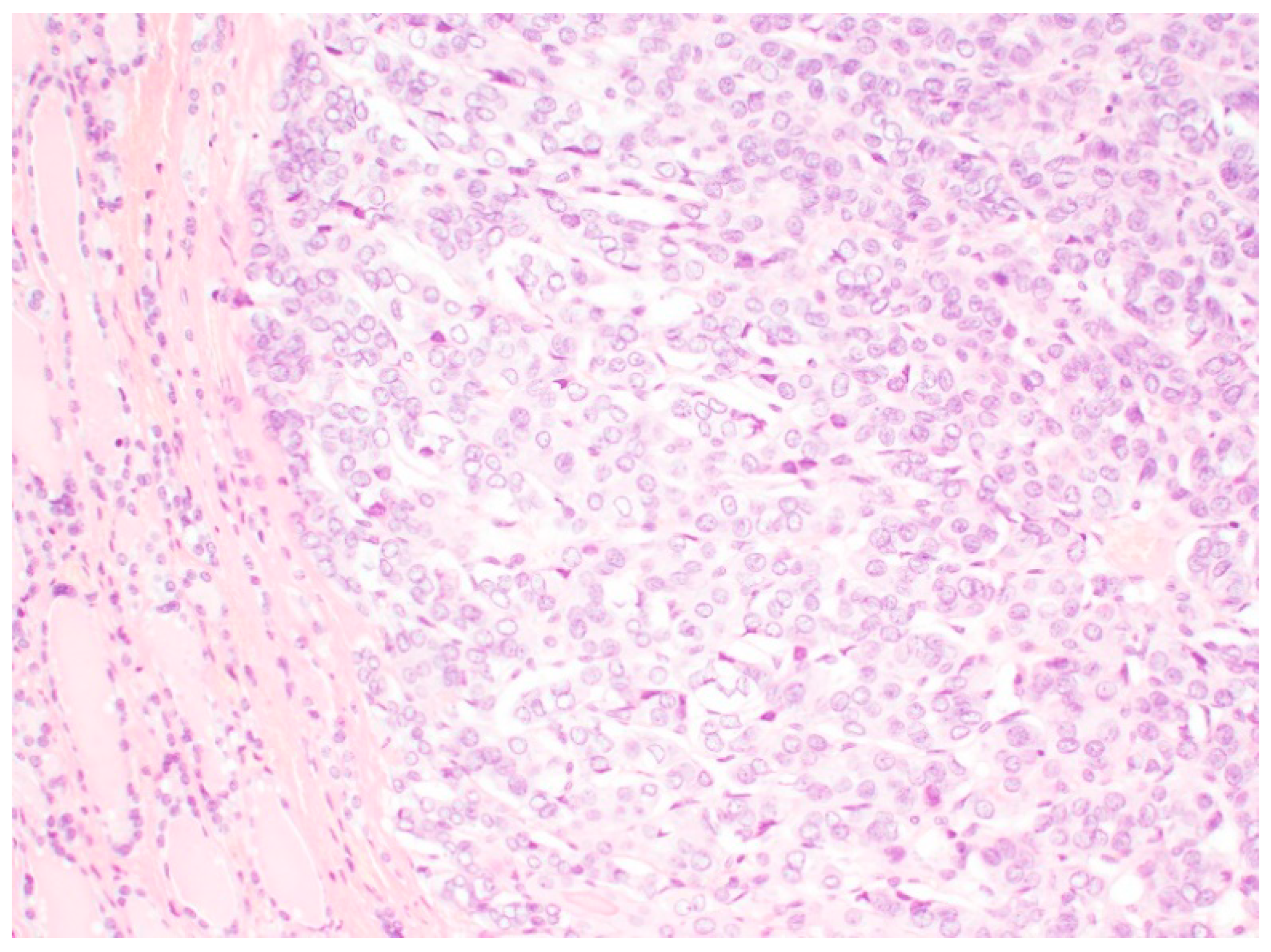 Diagnostics 12 00250 g002