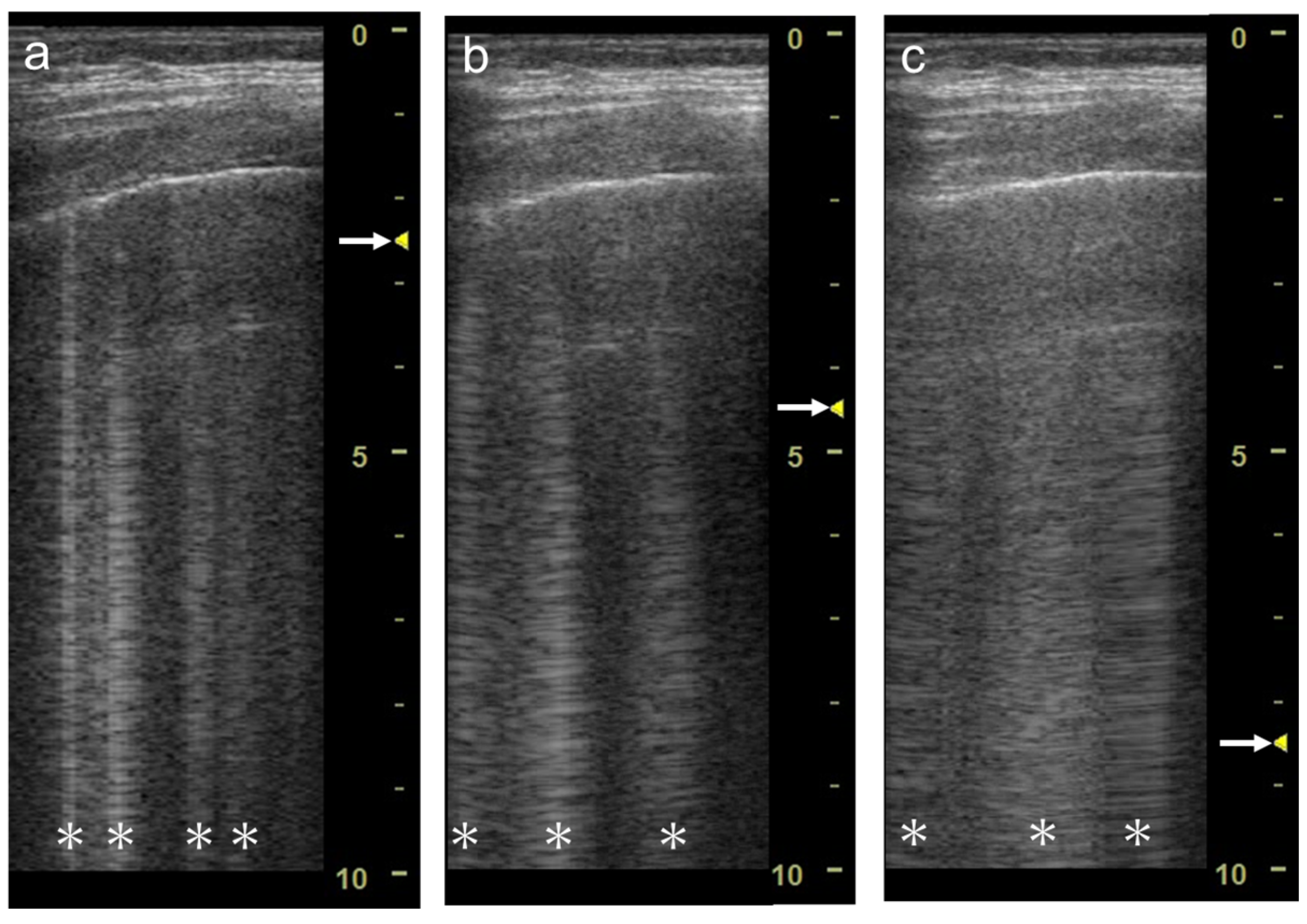 Diagnostics 12 00252 g008 550