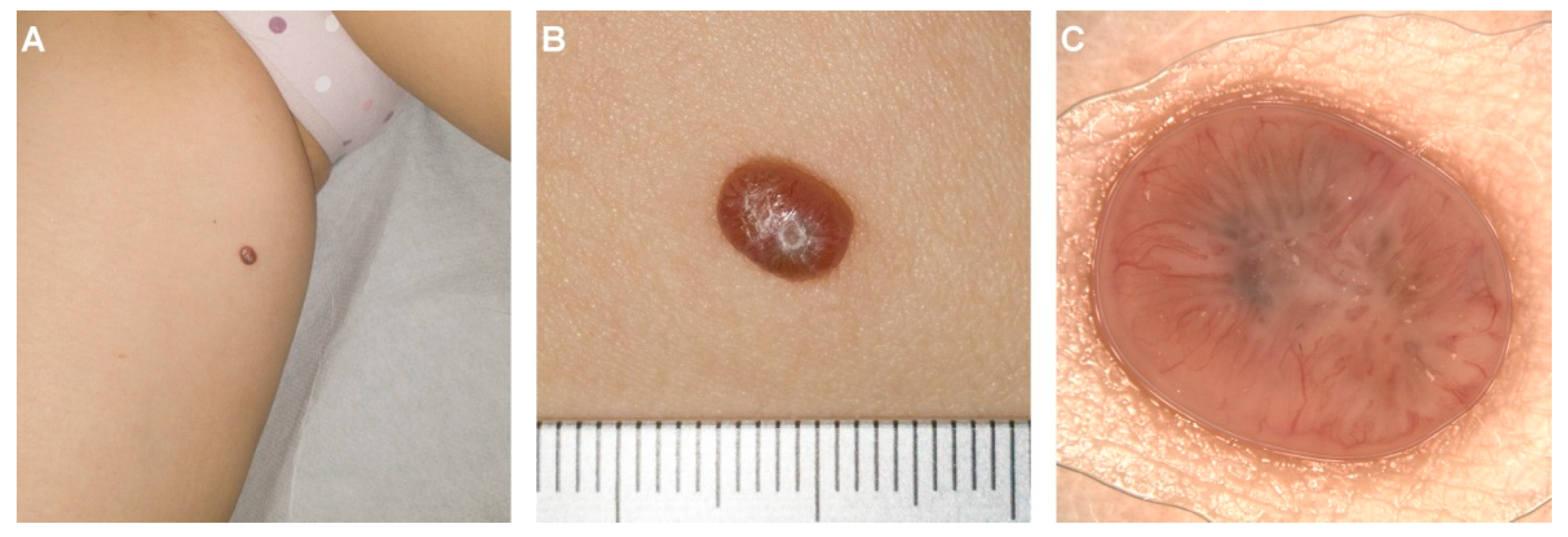 Diagnostics 12 00255 g001 550