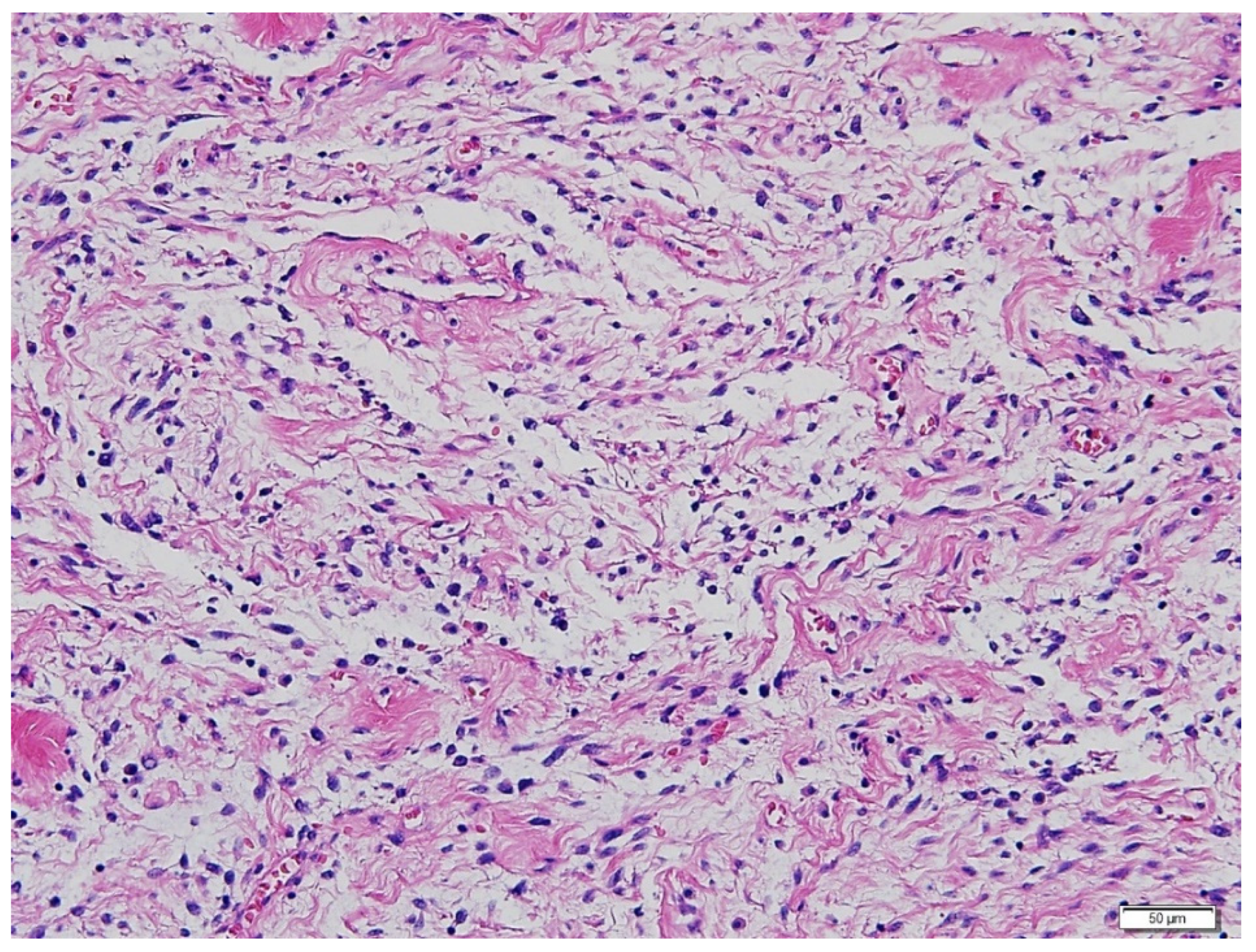 Diagnostics 12 00271 g003 550