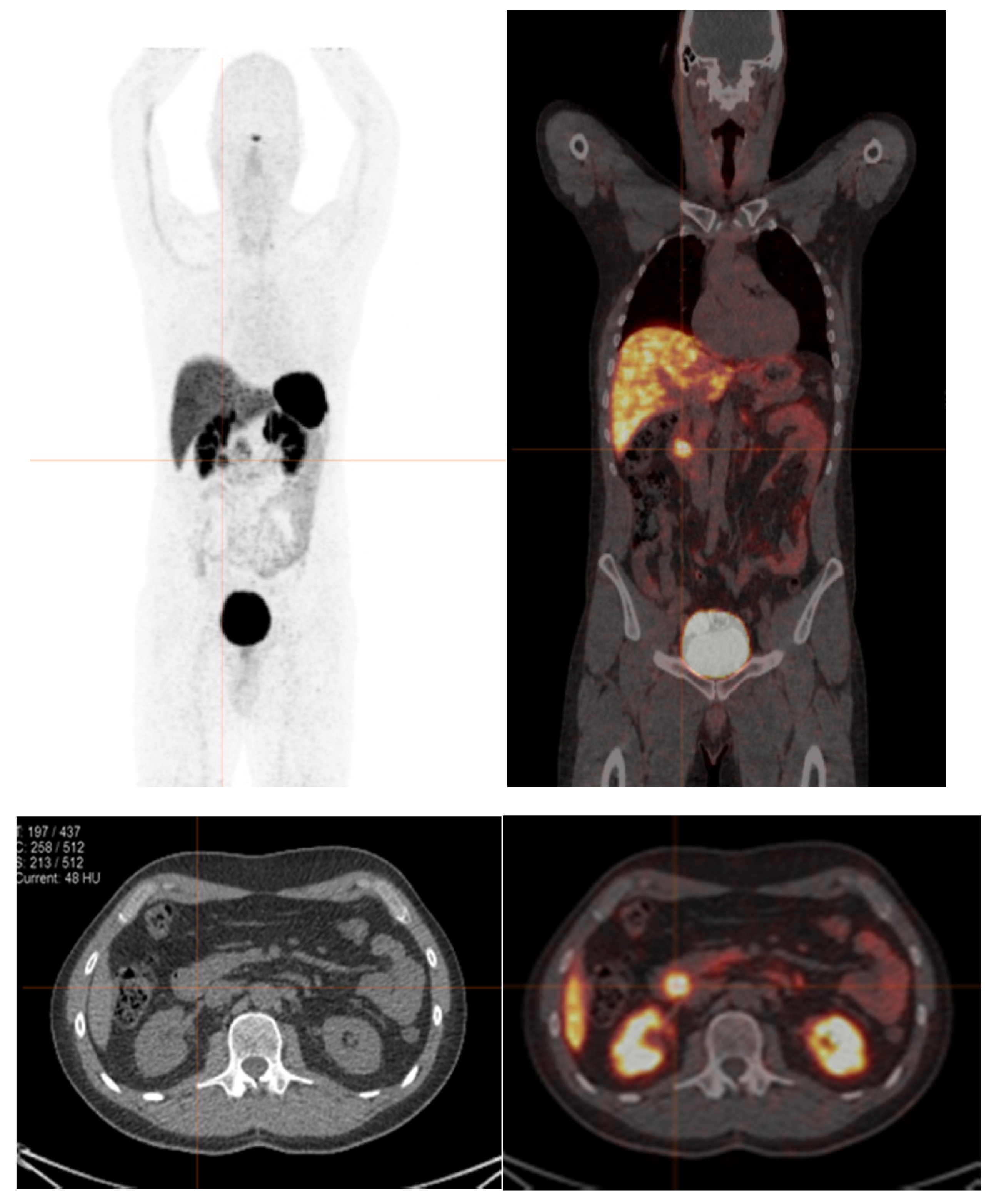 Diagnostics 12 00280 g001