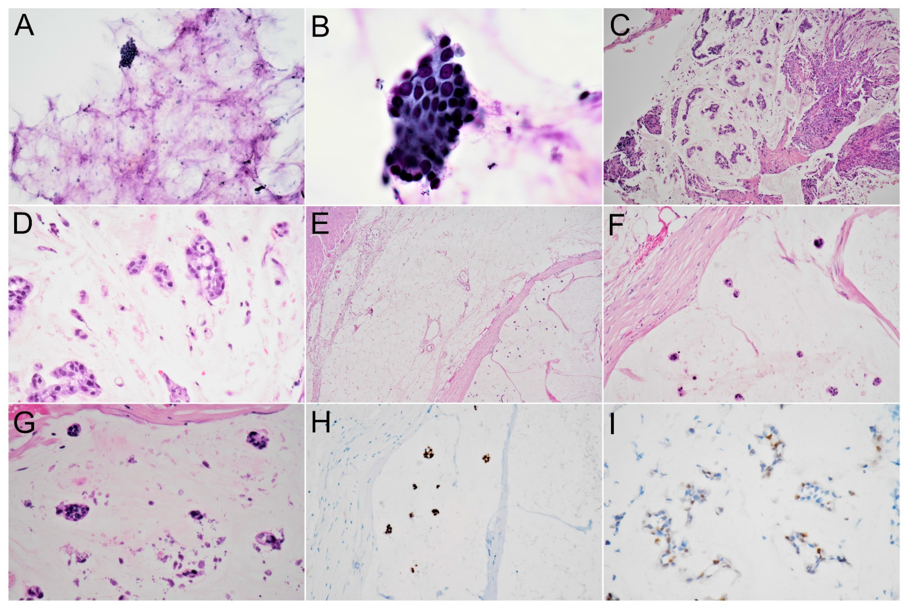 Diagnostics 12 00282 g003