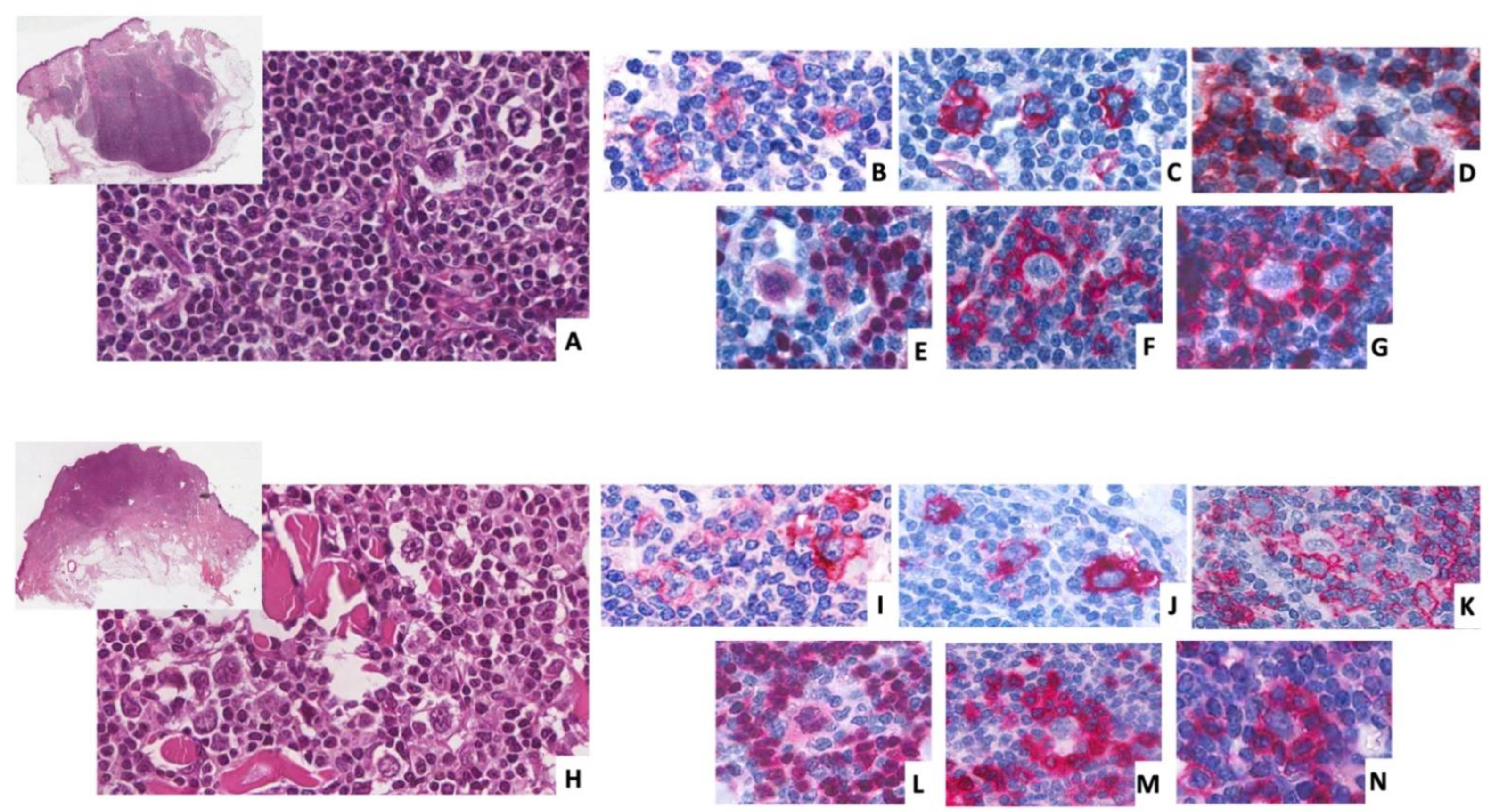Diagnostics 12 00290 g003