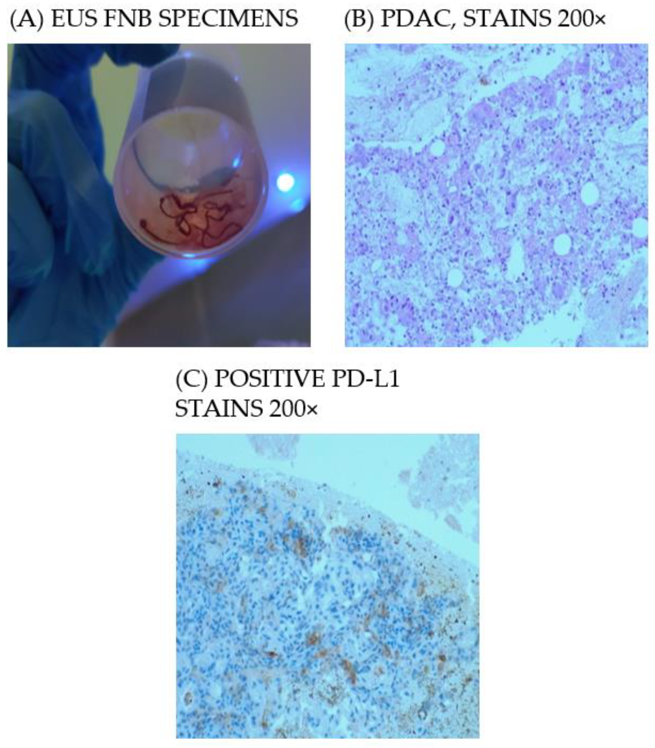 Diagnostics 12 00294 g001