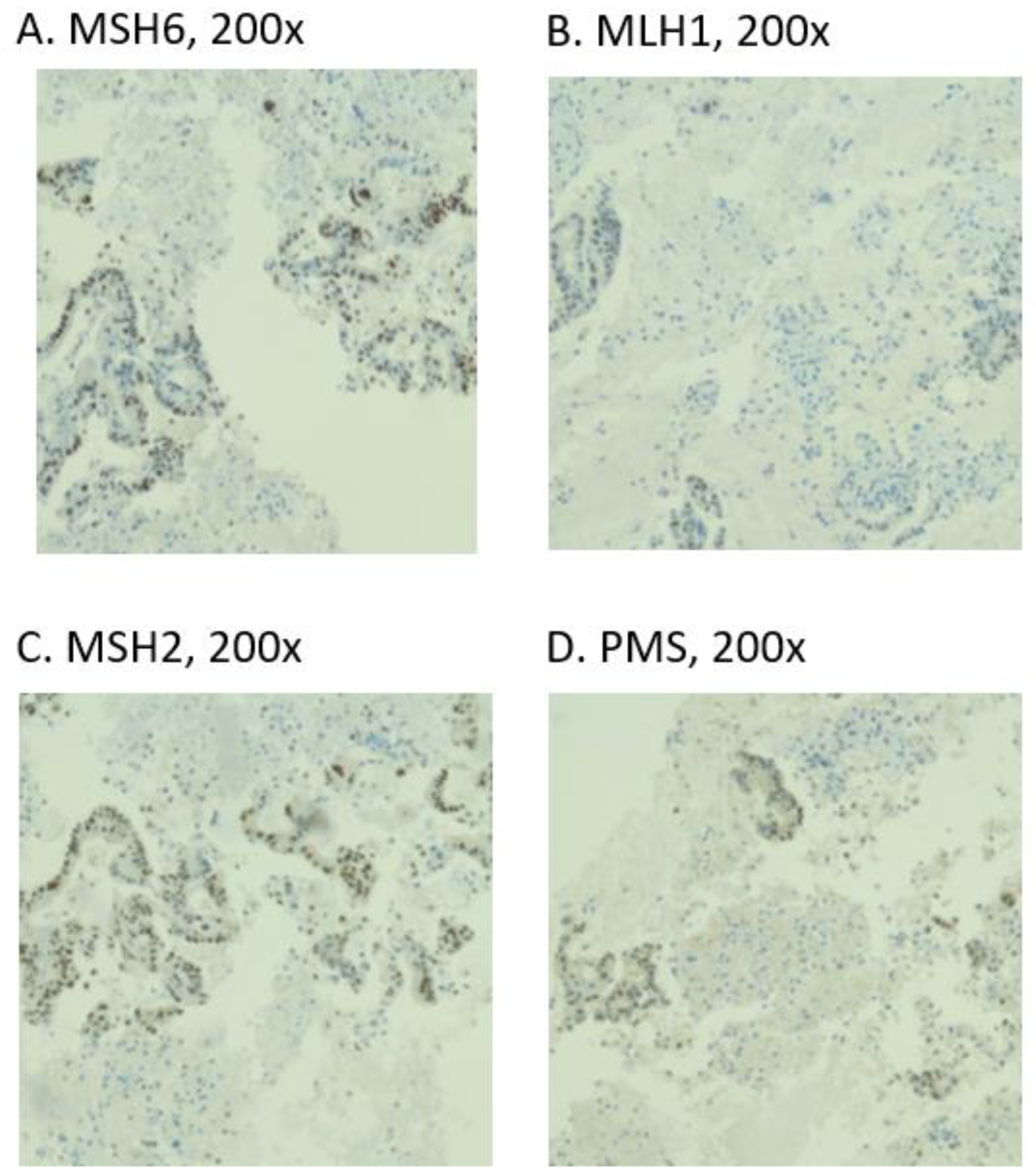 Diagnostics 12 00294 g002
