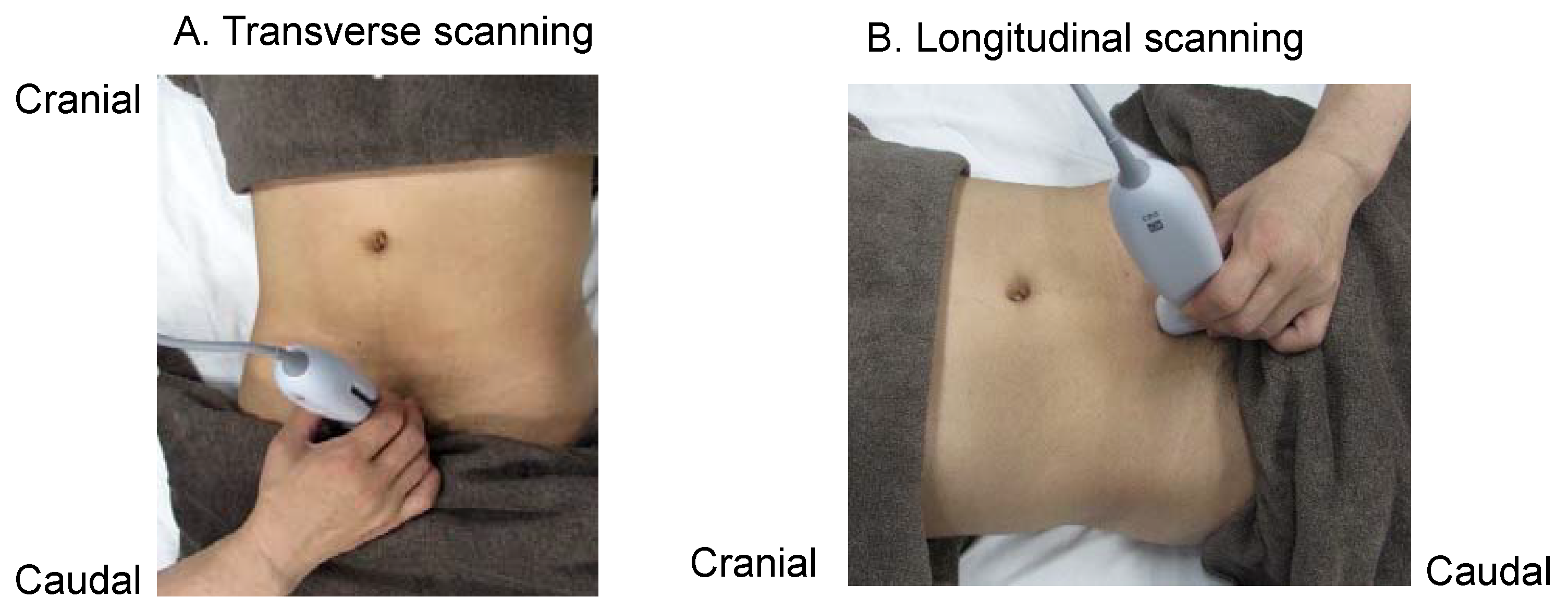 Diagnostics 12 00300 g002