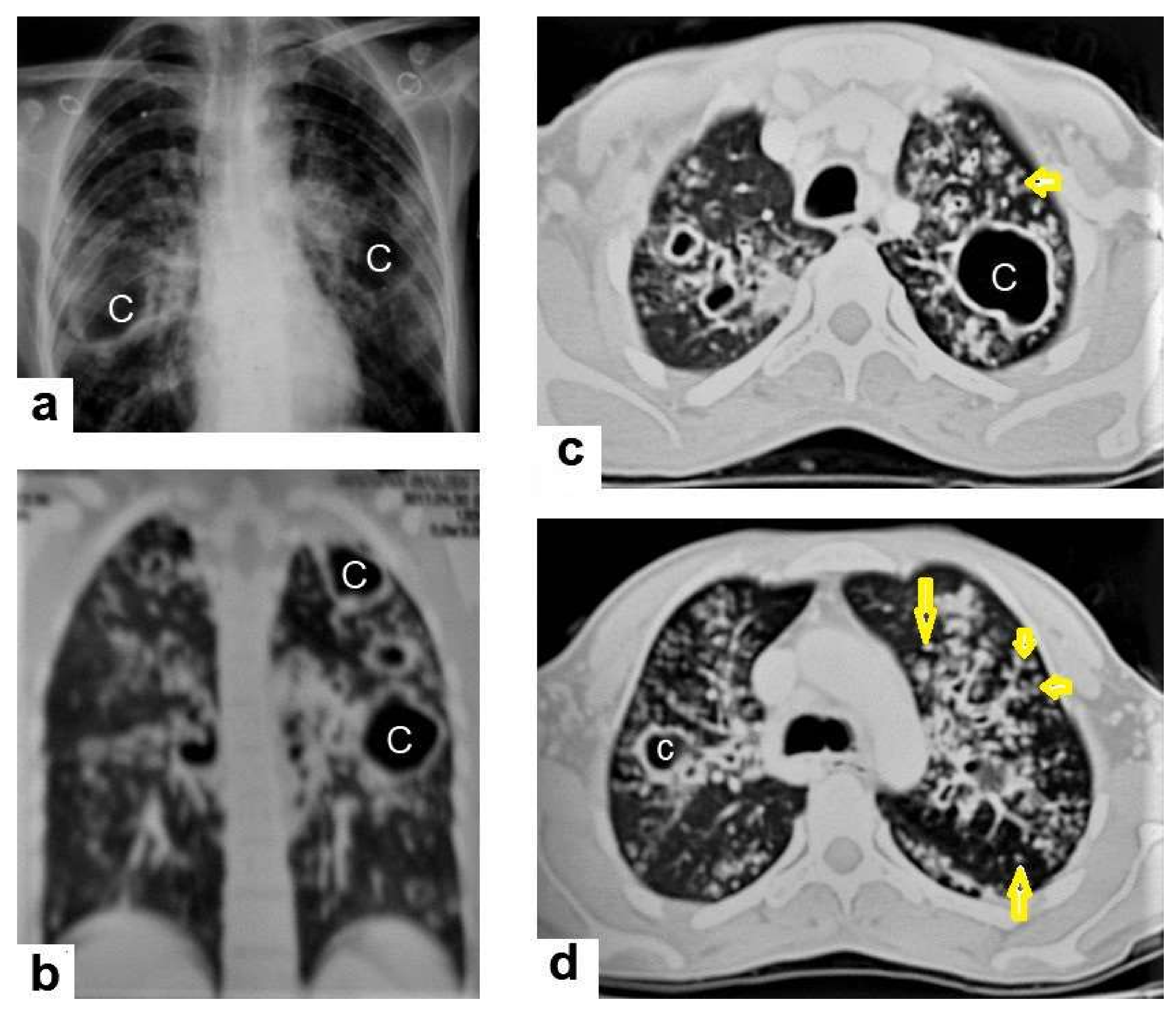 Diagnostics 12 00306 g004 550