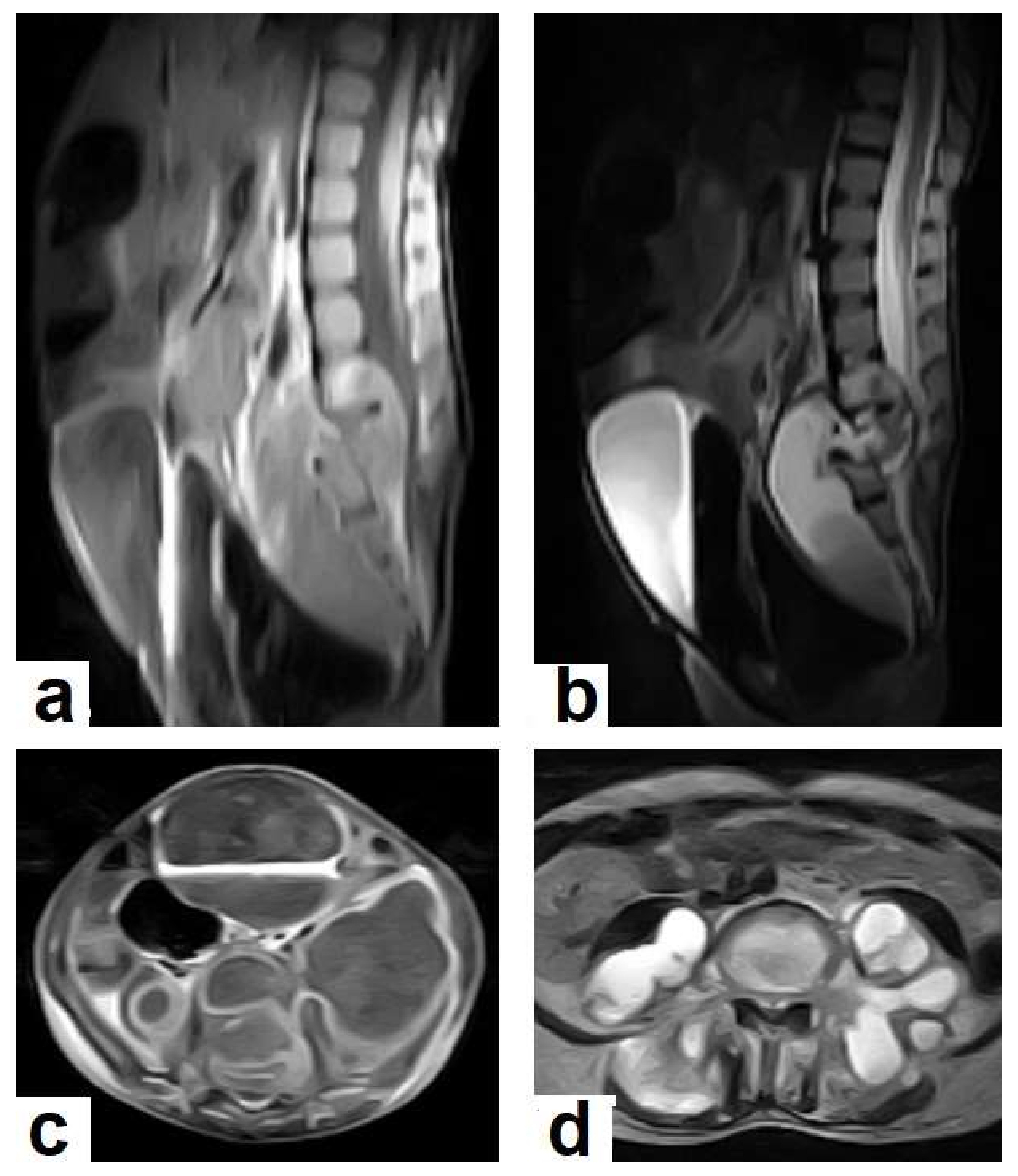 Diagnostics 12 00306 g019 550