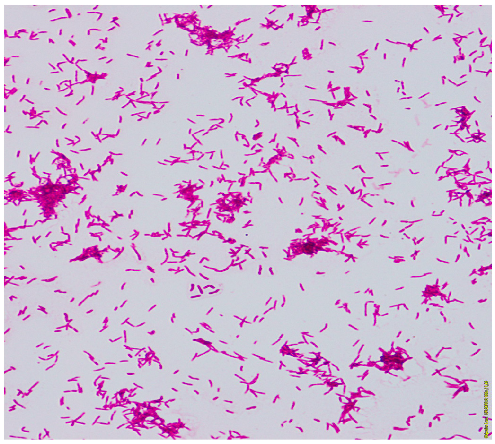 Diagnostics 12 00307 g003