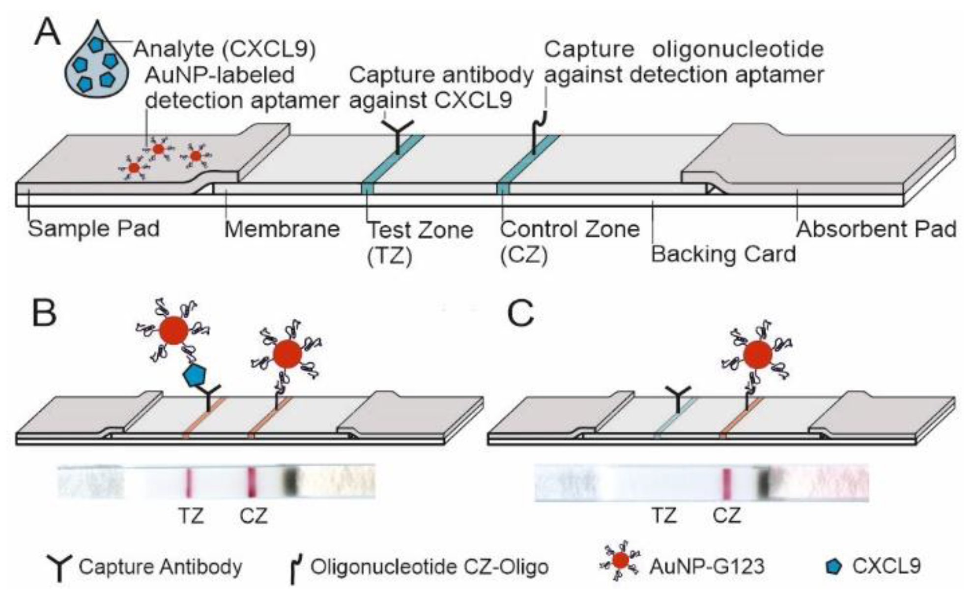 Diagnostics 12 00308 g005