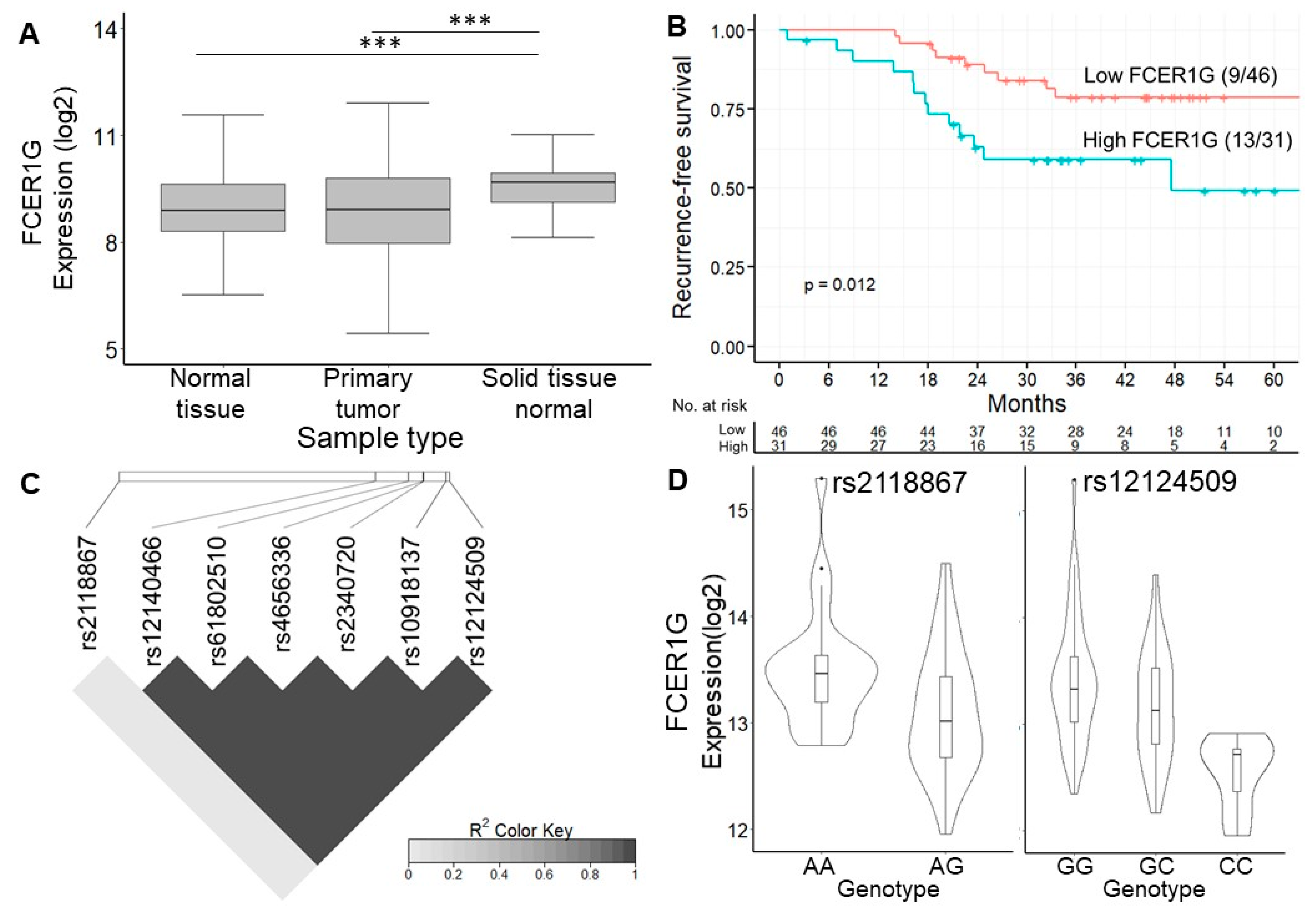 Diagnostics 12 00315 g004 Diagnostics 12 00315 g004