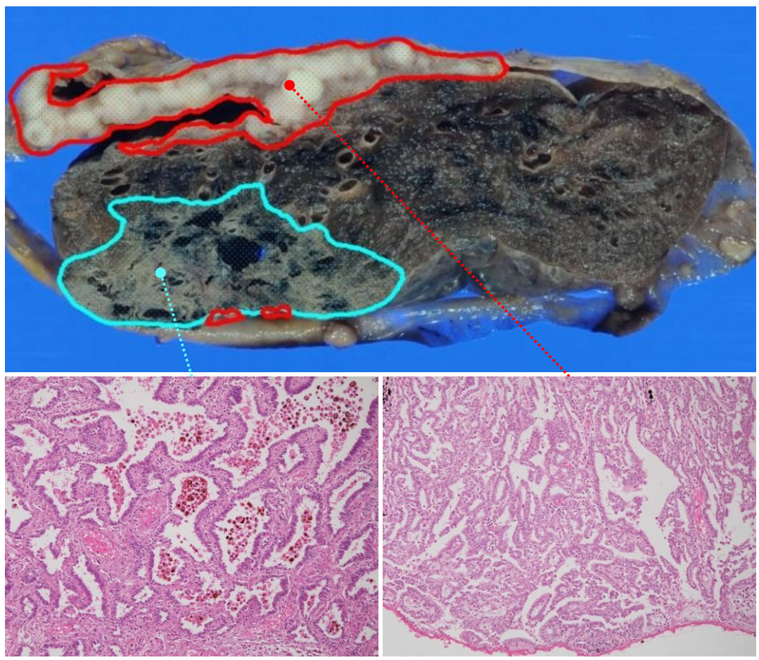 Diagnostics 12 00316 g001