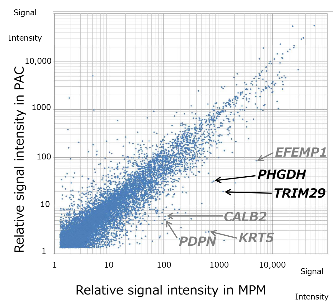 Diagnostics 12 00316 g002