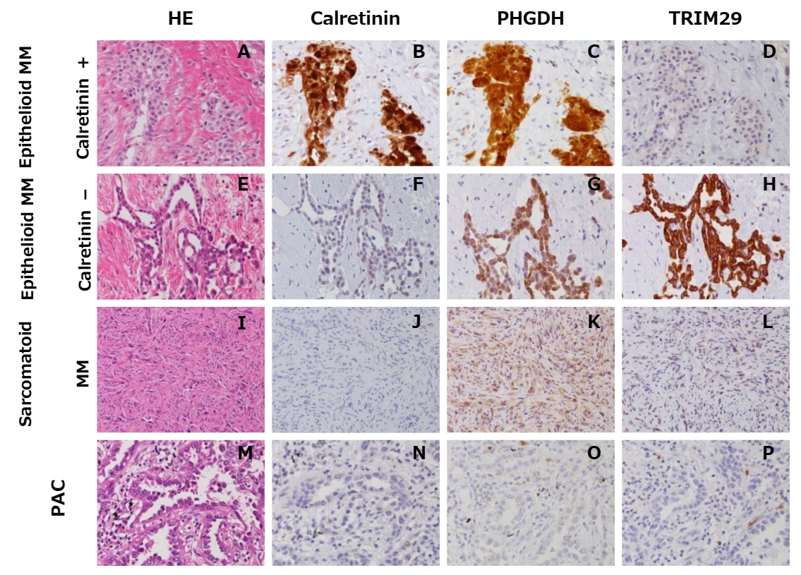 Diagnostics 12 00316 g003