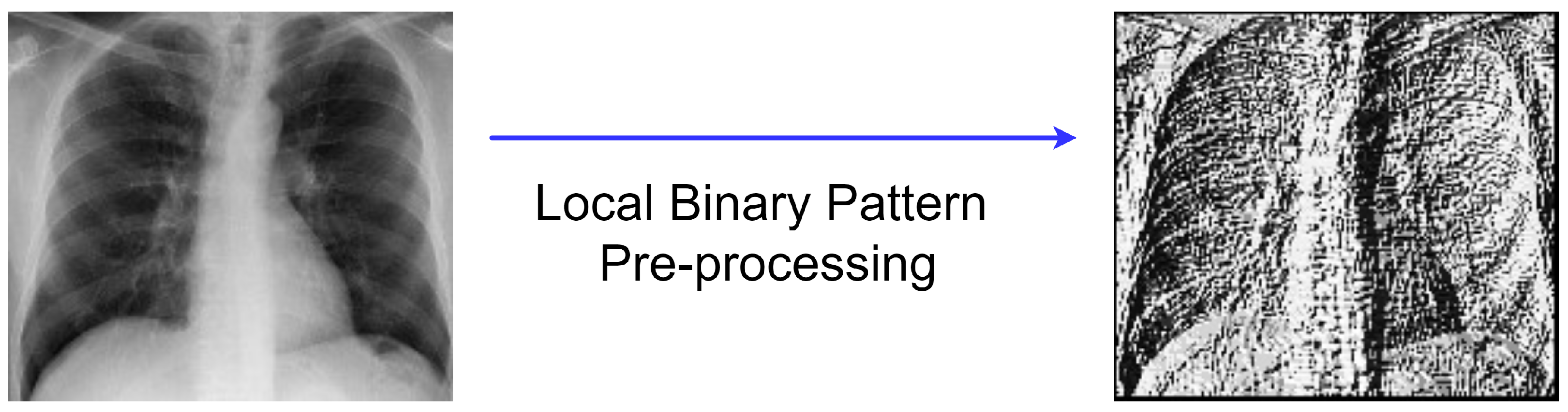 Diagnostics 12 00325 g002 550