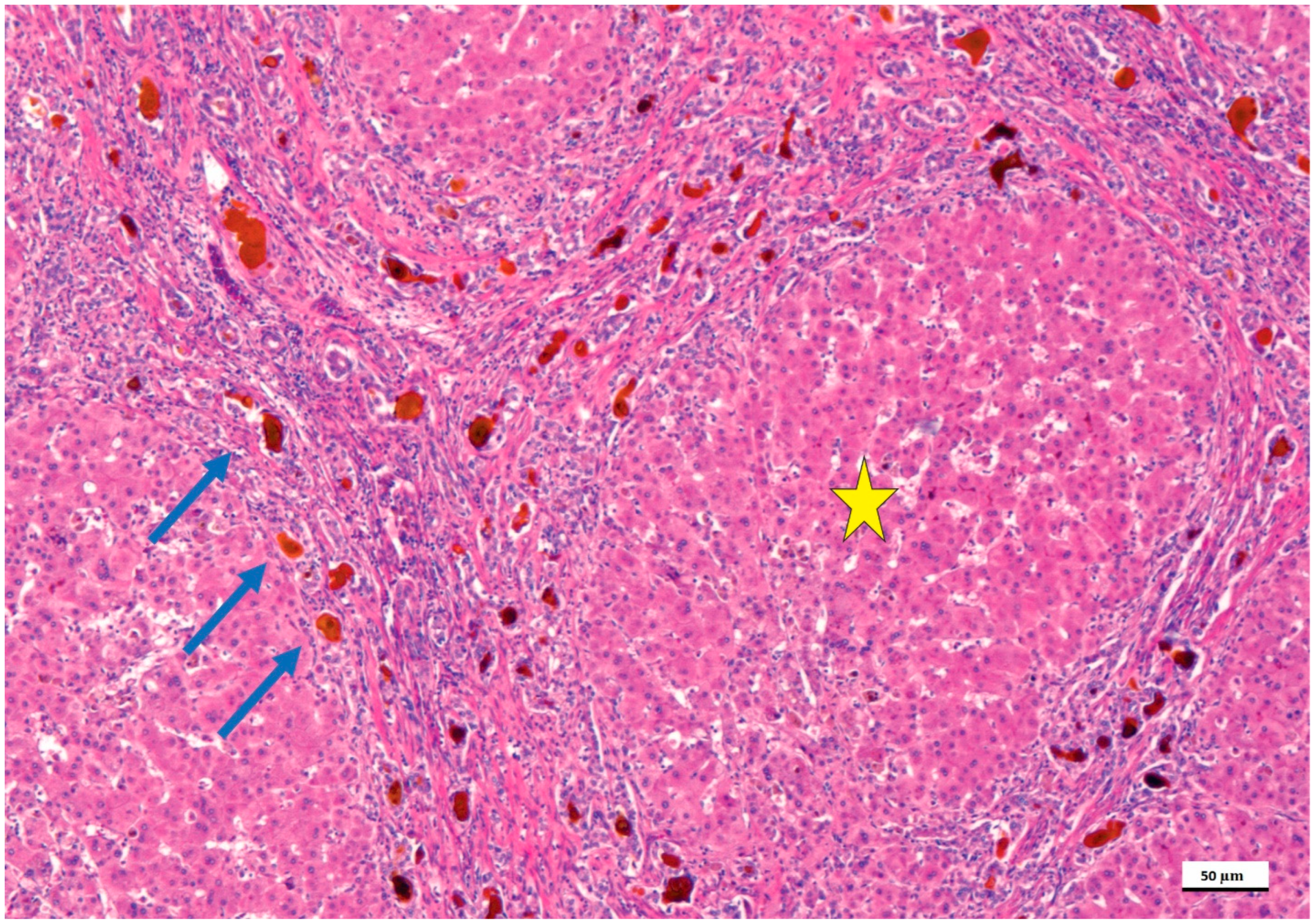 Diagnostics 12 00330 g001